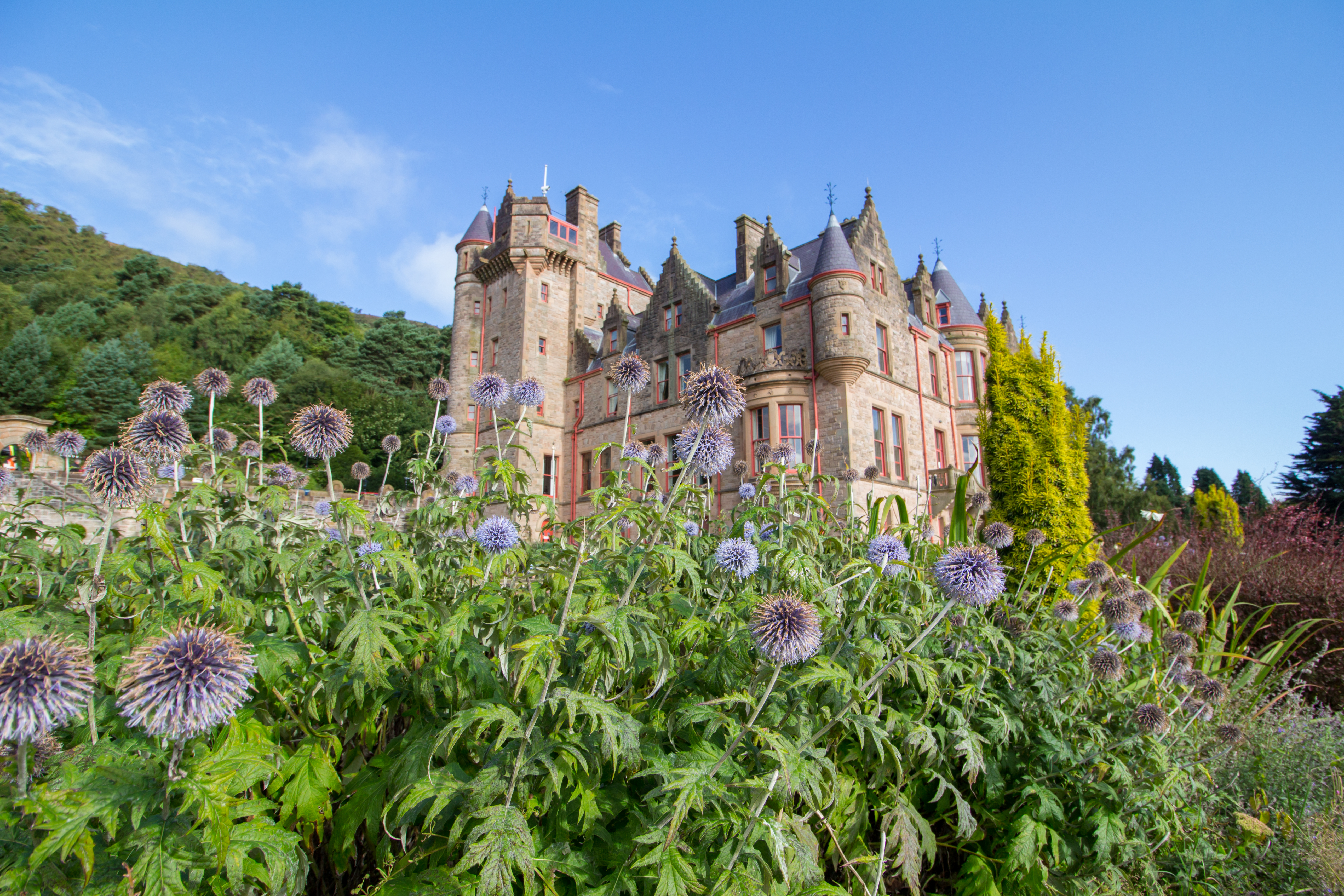 Smukt Belfast Castle med have og blomster under blaa himmel