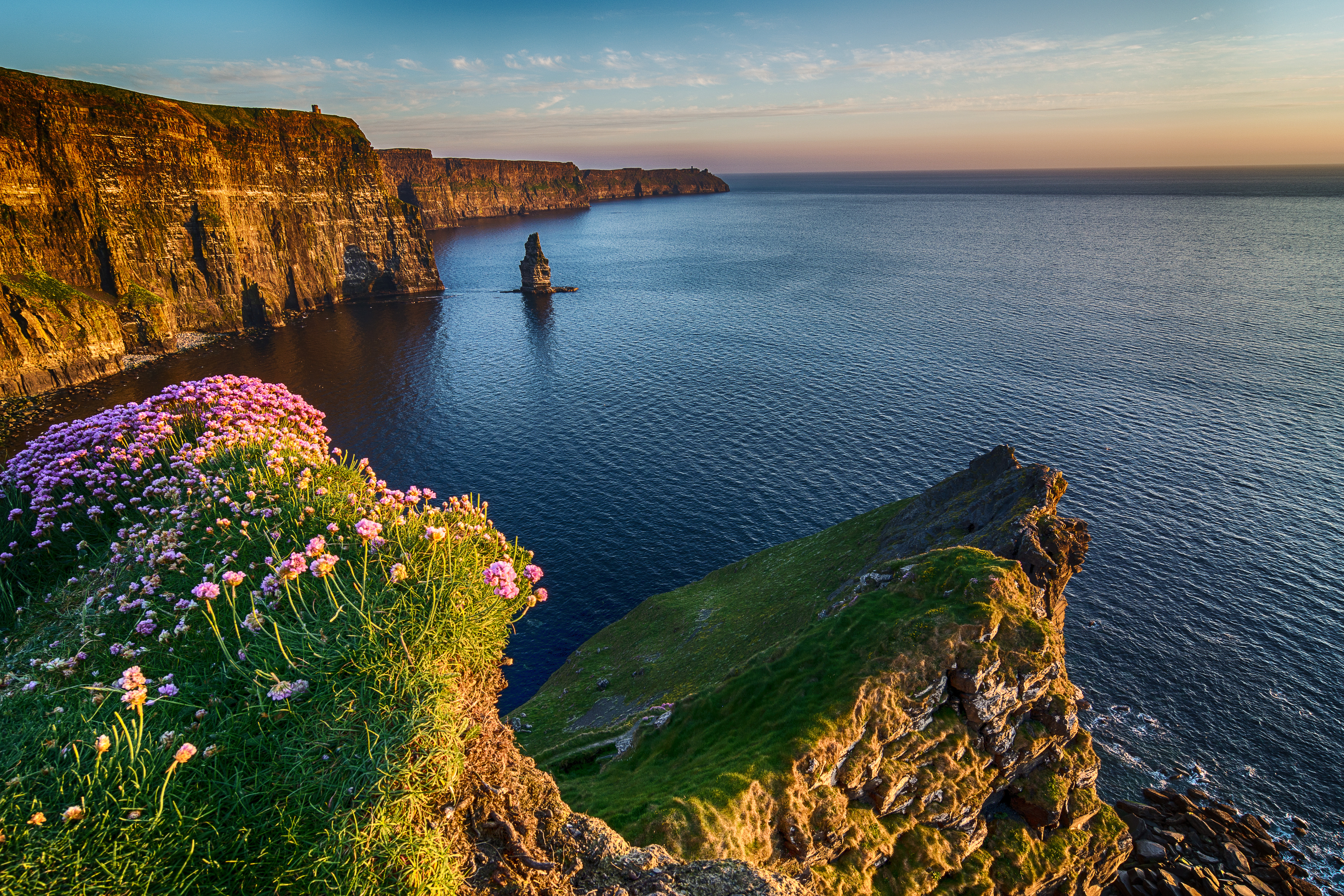 Betagende panoramaudsigt over Cliffs of Moher med lilla blomster i forgrunden og et historisk tårn på klipperne ved solnedgang i det vestlige Irland