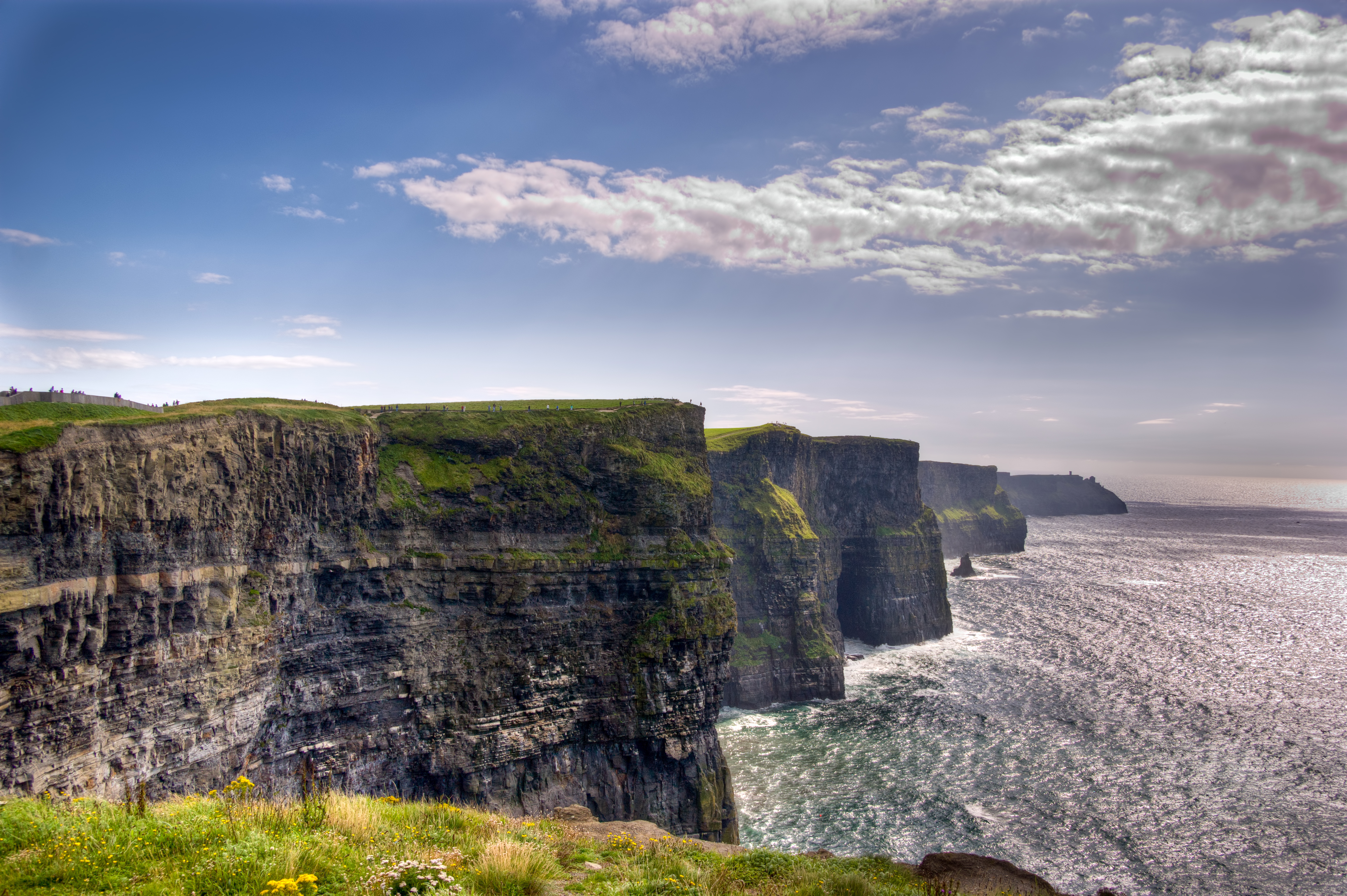 De ikoniske Cliffs of Moher i Irland set langs kysten med dramatiske klippeafsatser og grønt græs på toppen mod en blå himmel