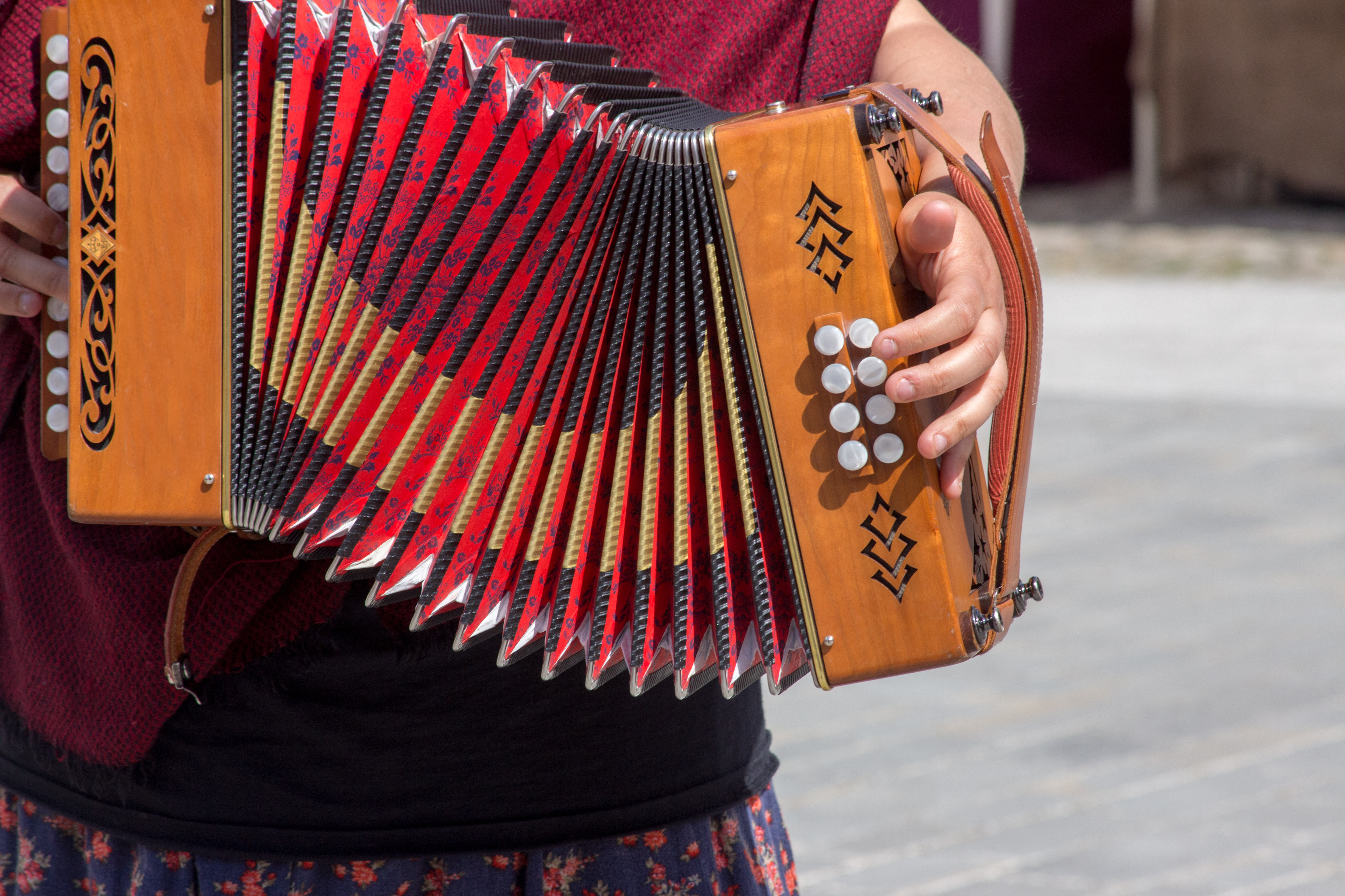 Nærbillede af hænder der spiller traditionel irsk accordion med røde bælge og hvide knapper