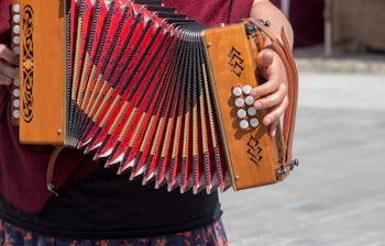 Nærbillede af hænder der spiller traditionel irsk accordion med røde bælge og hvide knapper