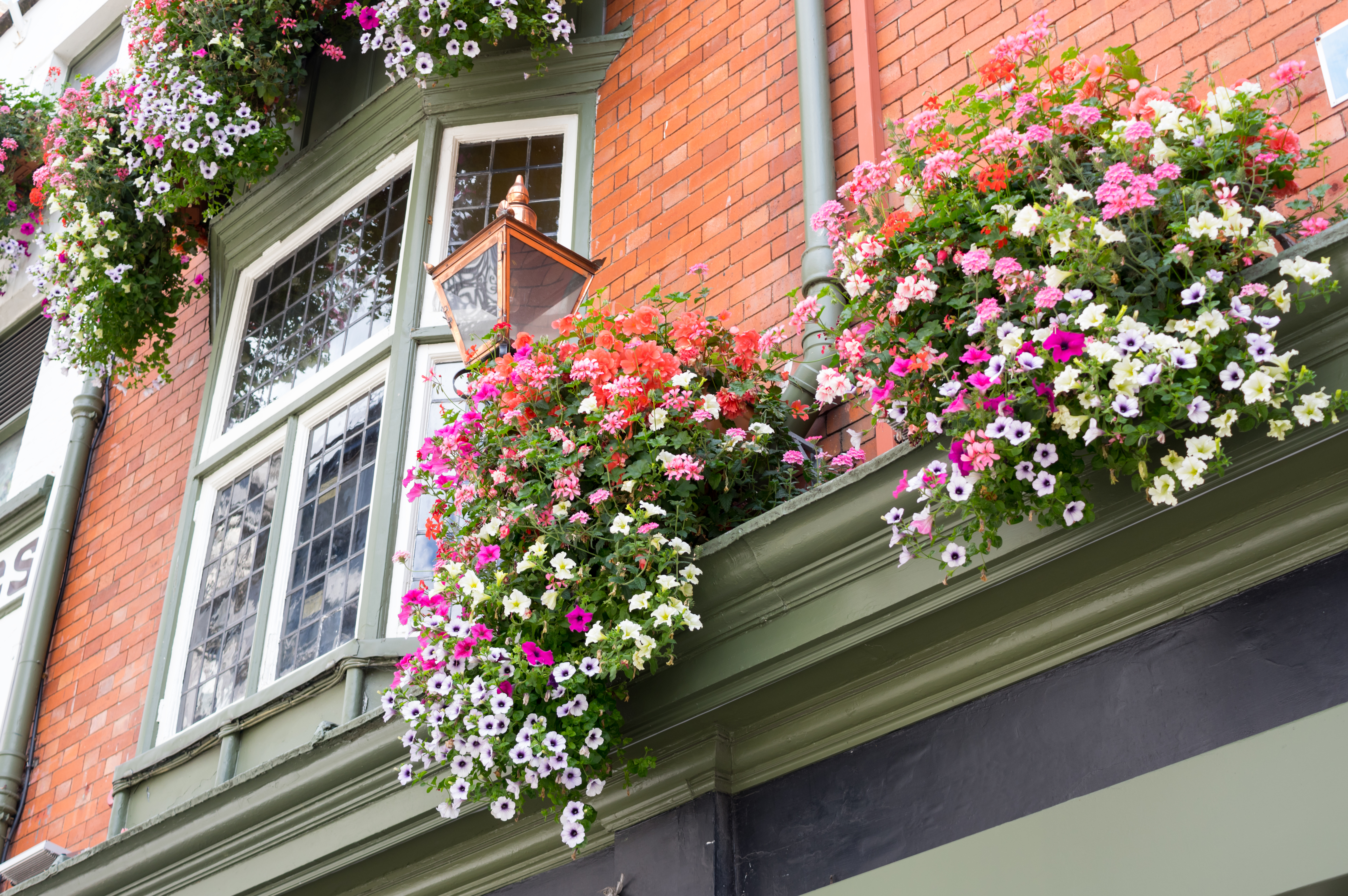 Traditionel irsk bygning med farverige altanblomster