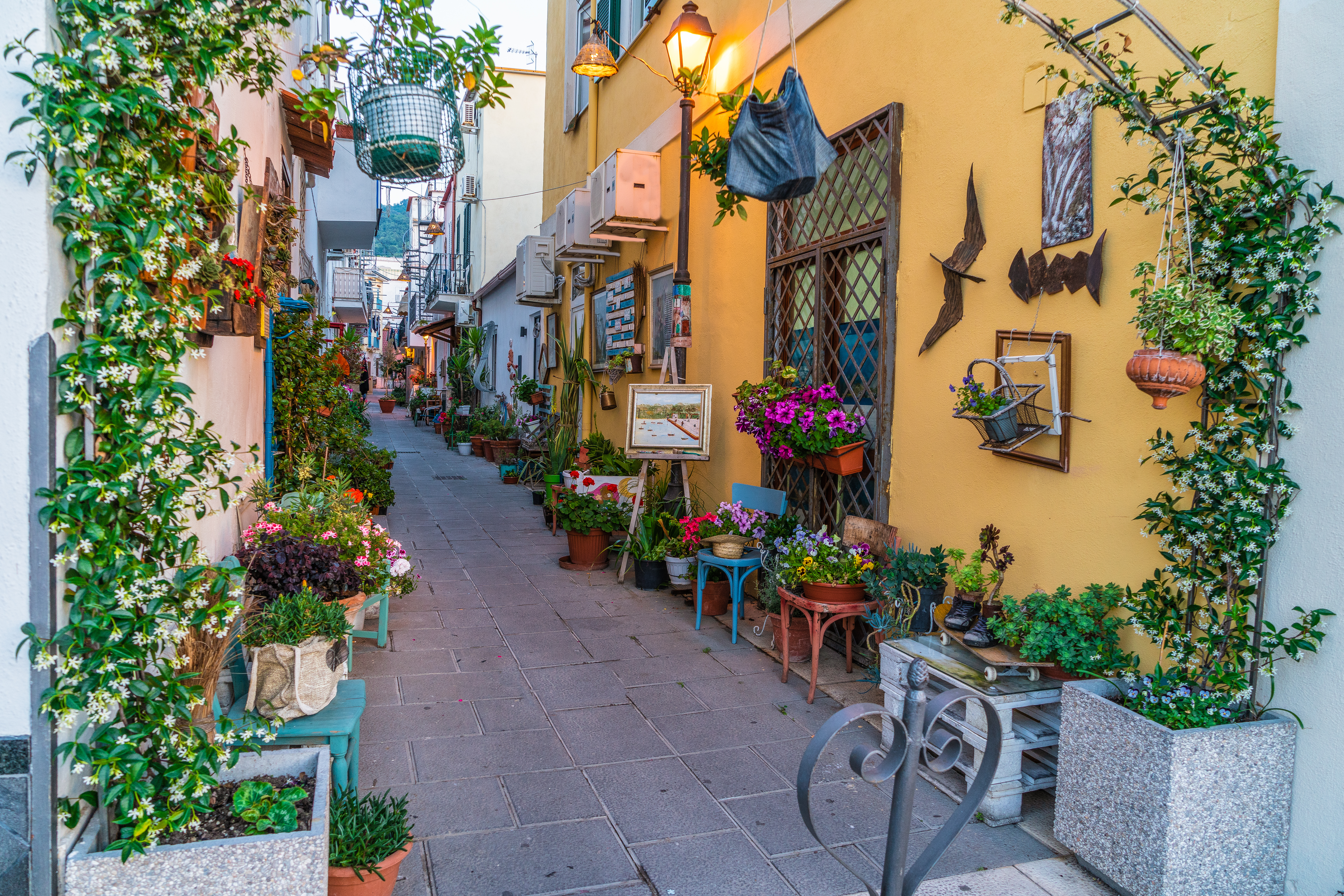 Romantisk smal gade på Ischia i Italien med masser af blomster, klatreplanter og traditionelle middelhavsbygninger i varme farver