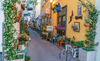 Romantisk smal gade på Ischia i Italien med masser af blomster, klatreplanter og traditionelle middelhavsbygninger i varme farver