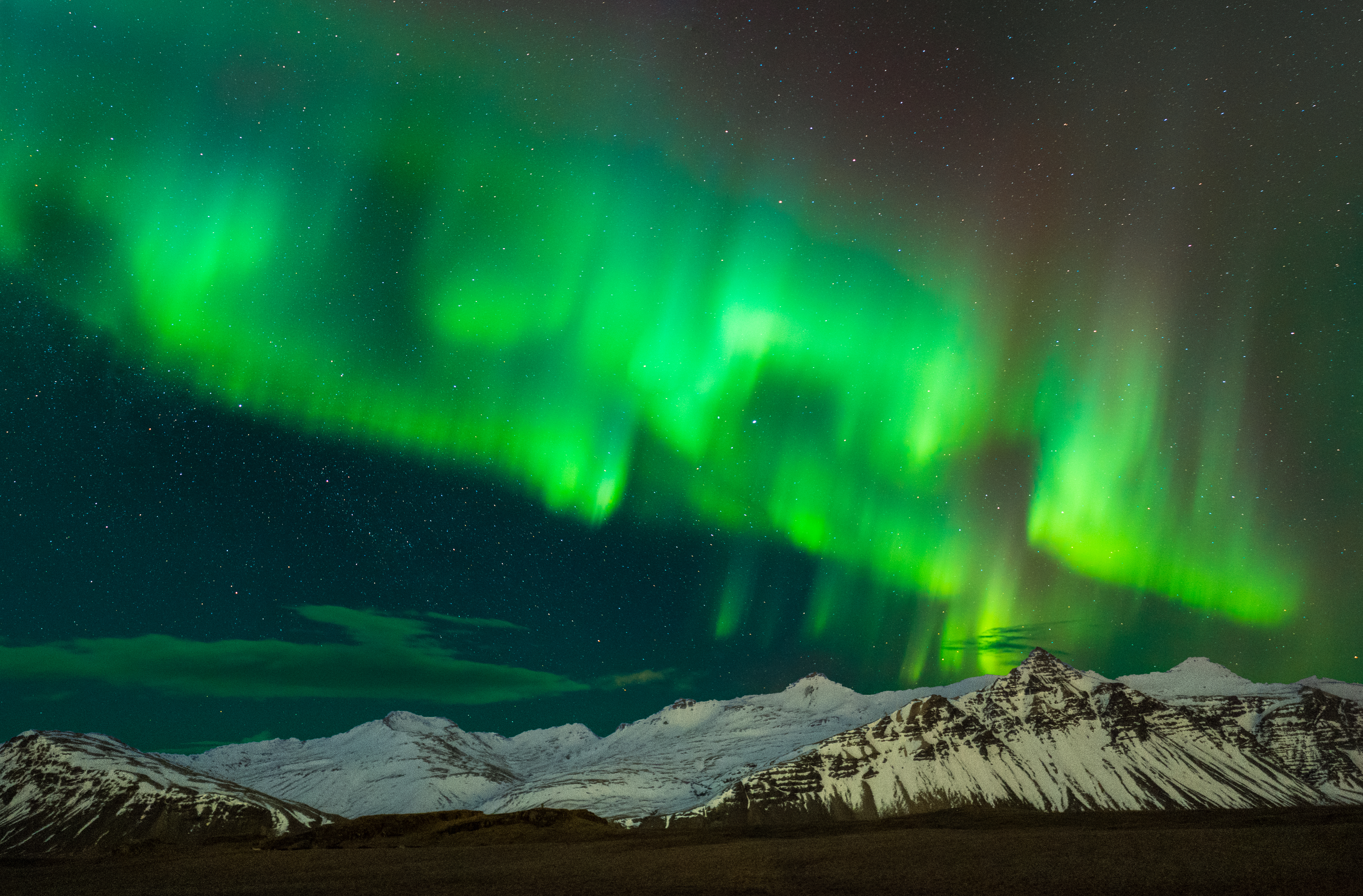 Utroligt nordlys aurora borealis der danser over Islands majestætiske bjerge under stjerneklar himmel