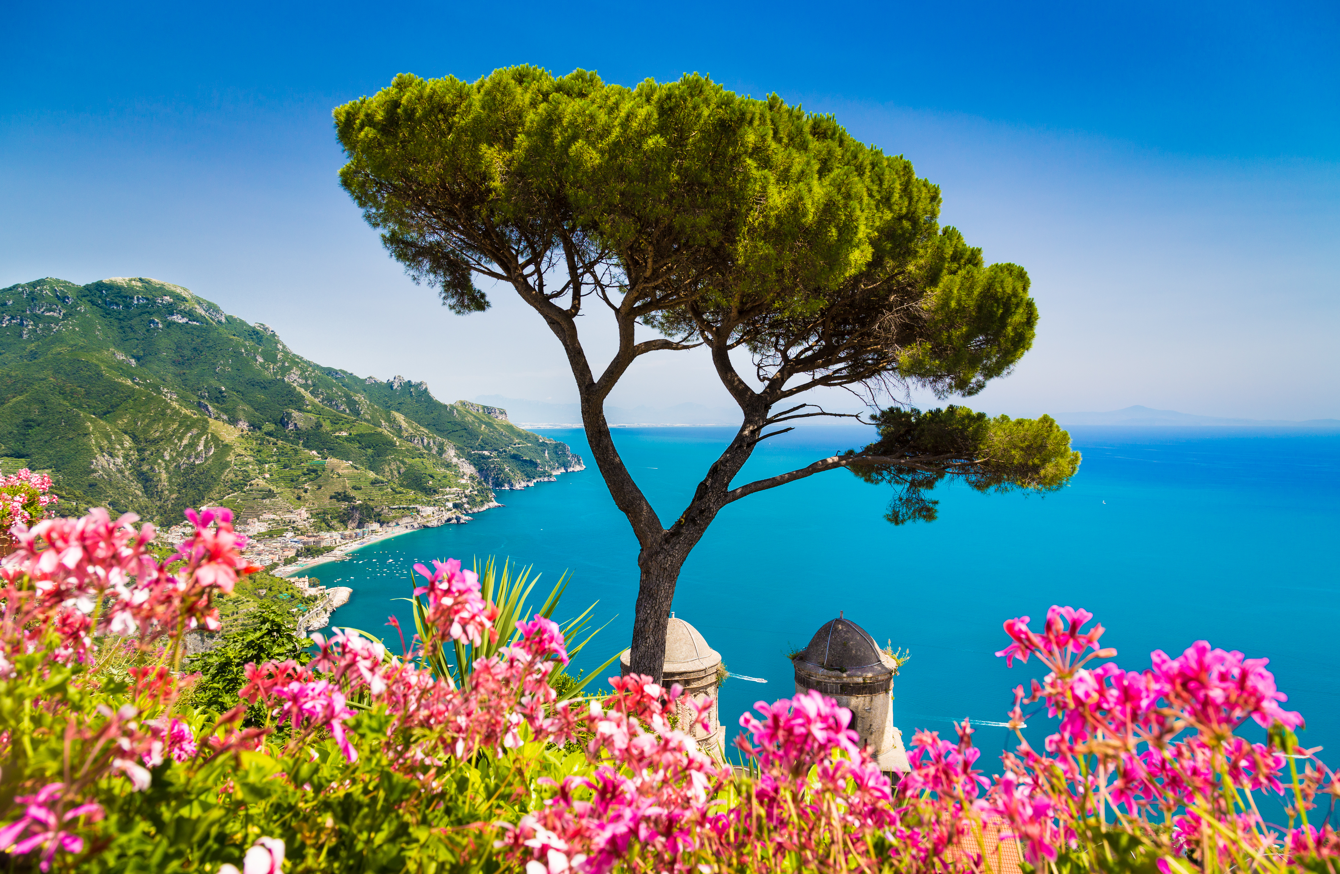 Spektakulær udsigt over Amalfi-kysten med ikonisk pinjetræ og blomstrende bougainvillea