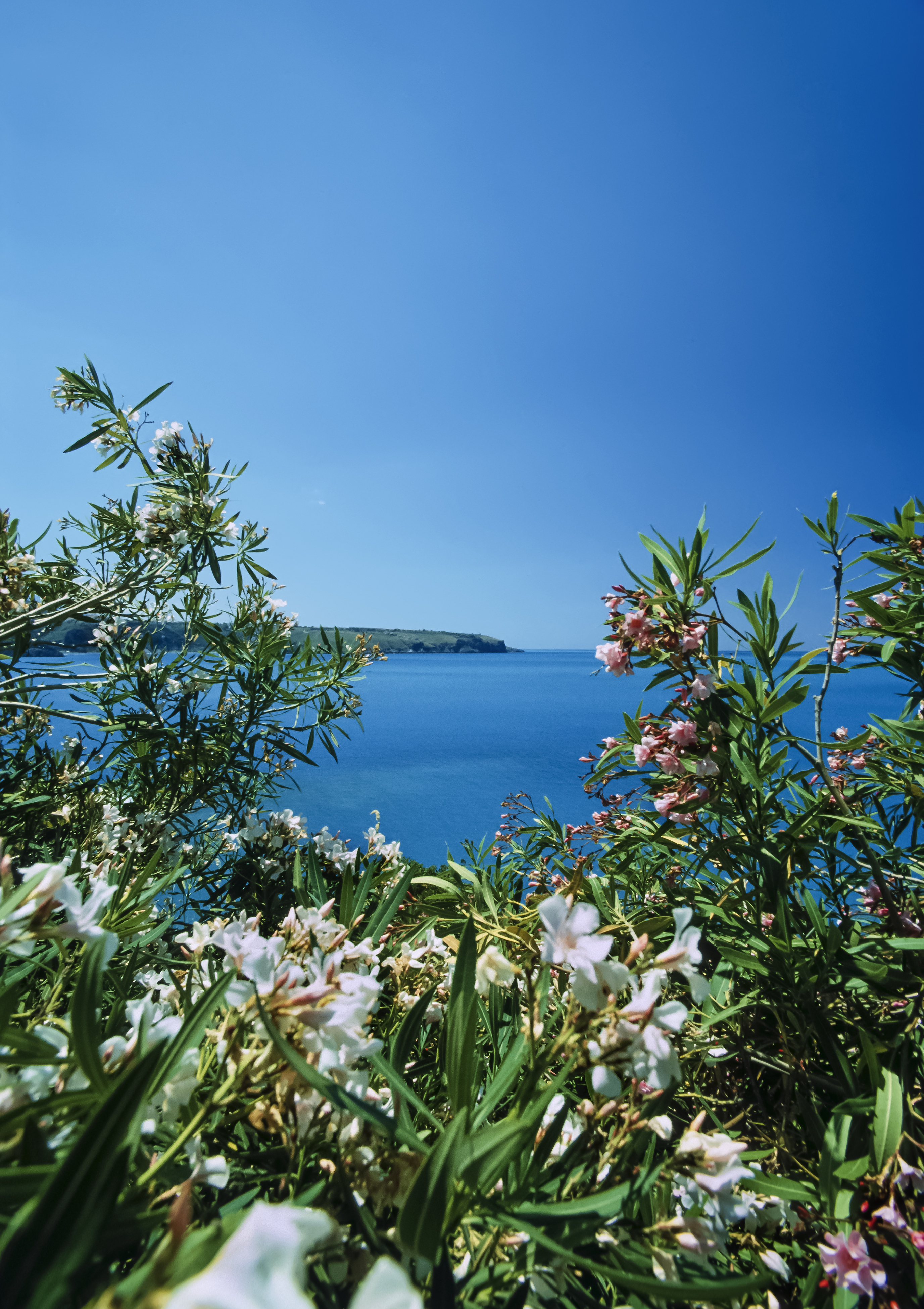 Fascinerende udsigt over den naturskønne kyst ved Det Tyrrhenske Hav i regionen Calabrien, Syditalien, set fra det charmerende Dino Island nær Praia a Mare, et perfekt rejsemål for naturelskere
