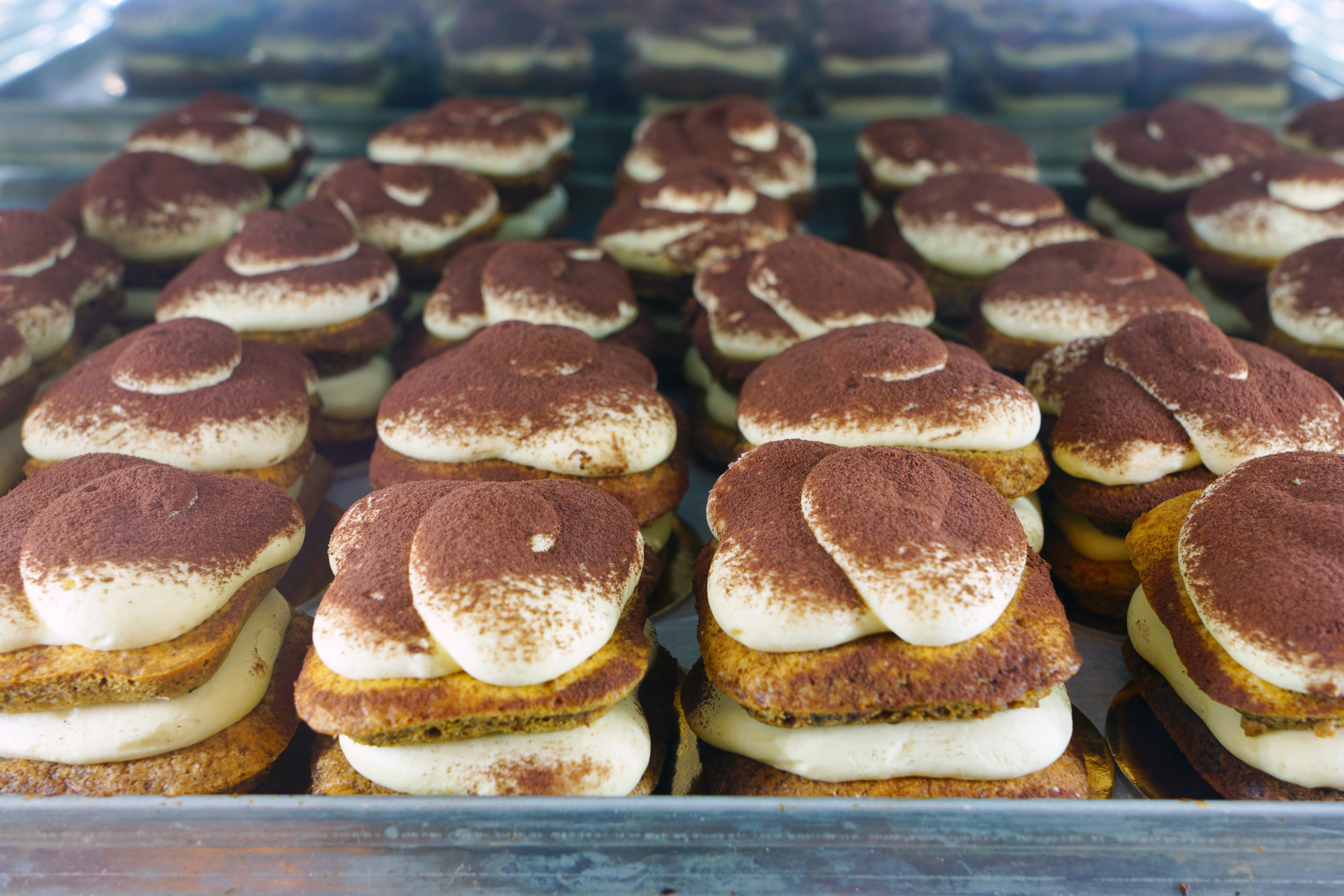 Lækker hjemmelavet tiramisu med mascarpone creme og kakaopulver i Treviso, Italien