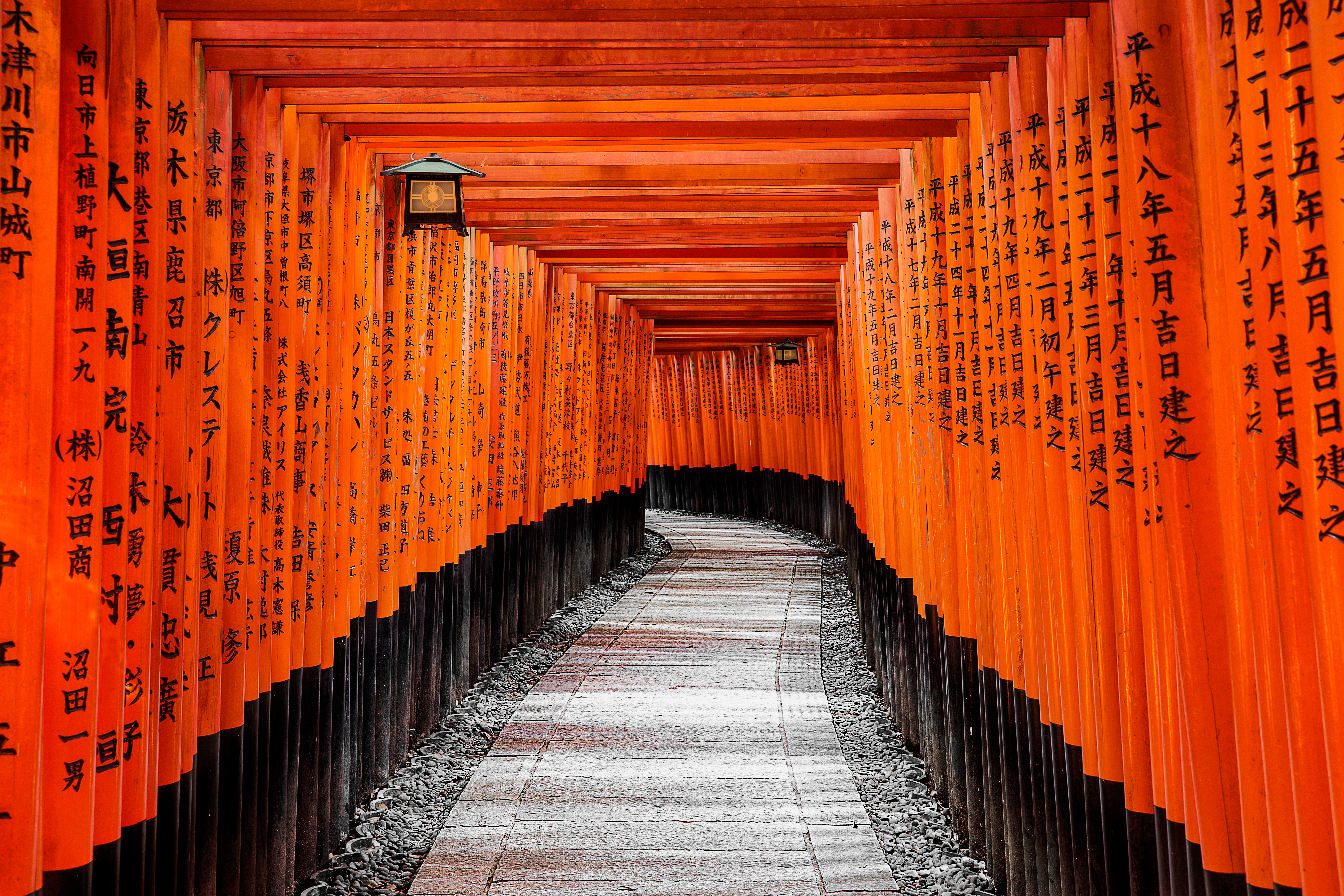 Den berømte sti med over 5.000 røde torii-porte i Fushimi Inari helligdommen i Kyoto på vores Japan rejse