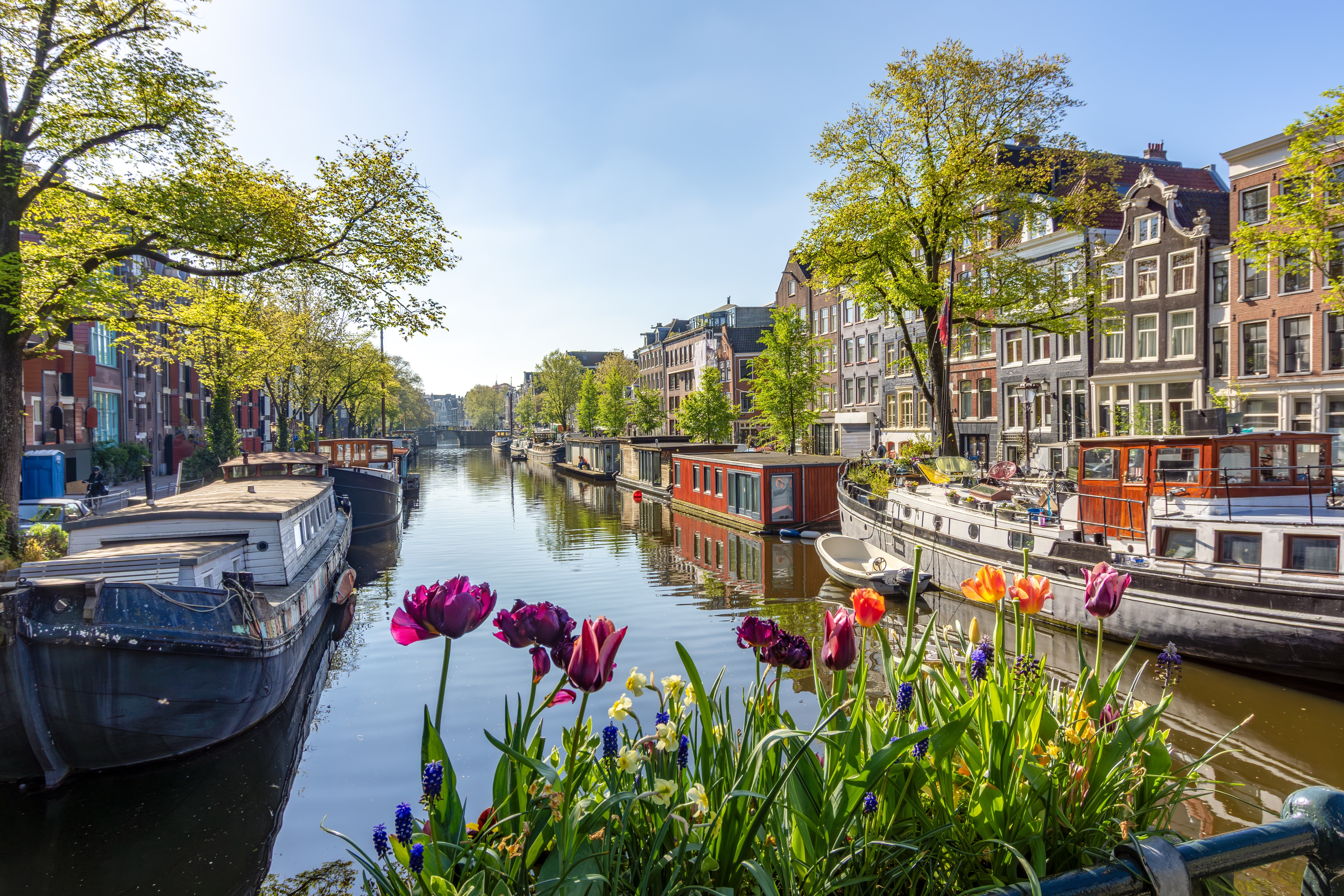 Idyllisk kanalscene i Amsterdams Jordaan-kvarter med farverige tulipaner, traditionelle husbåde og smukke historiske bygninger i foårsvejr