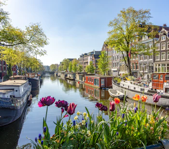 Idyllisk kanalscene i Amsterdams Jordaan-kvarter med farverige tulipaner, traditionelle husbåde og smukke historiske bygninger i foårsvejr