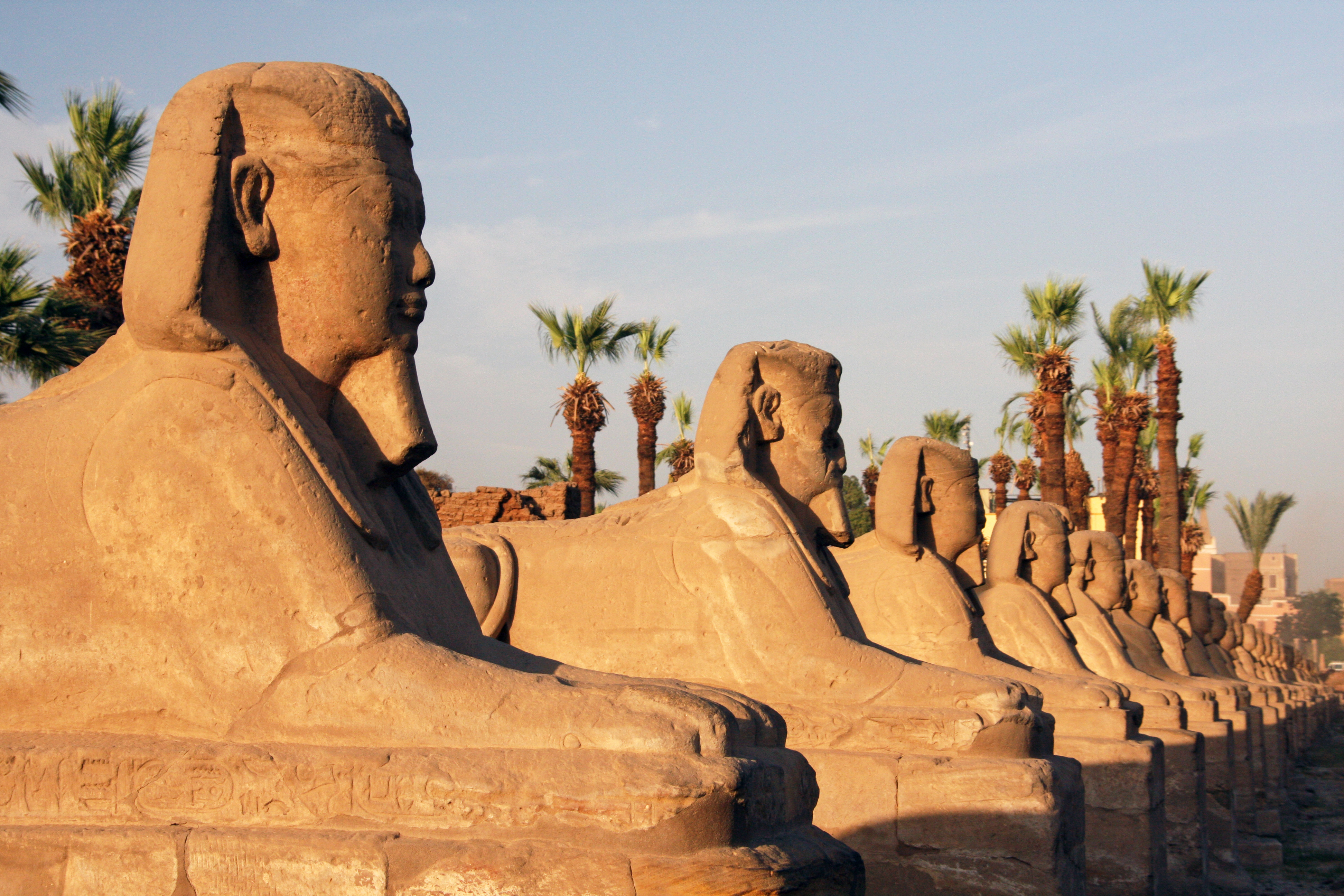 Den berømte sfinks-allé ved Karnak Tempel i Luxor med palmer i baggrunden