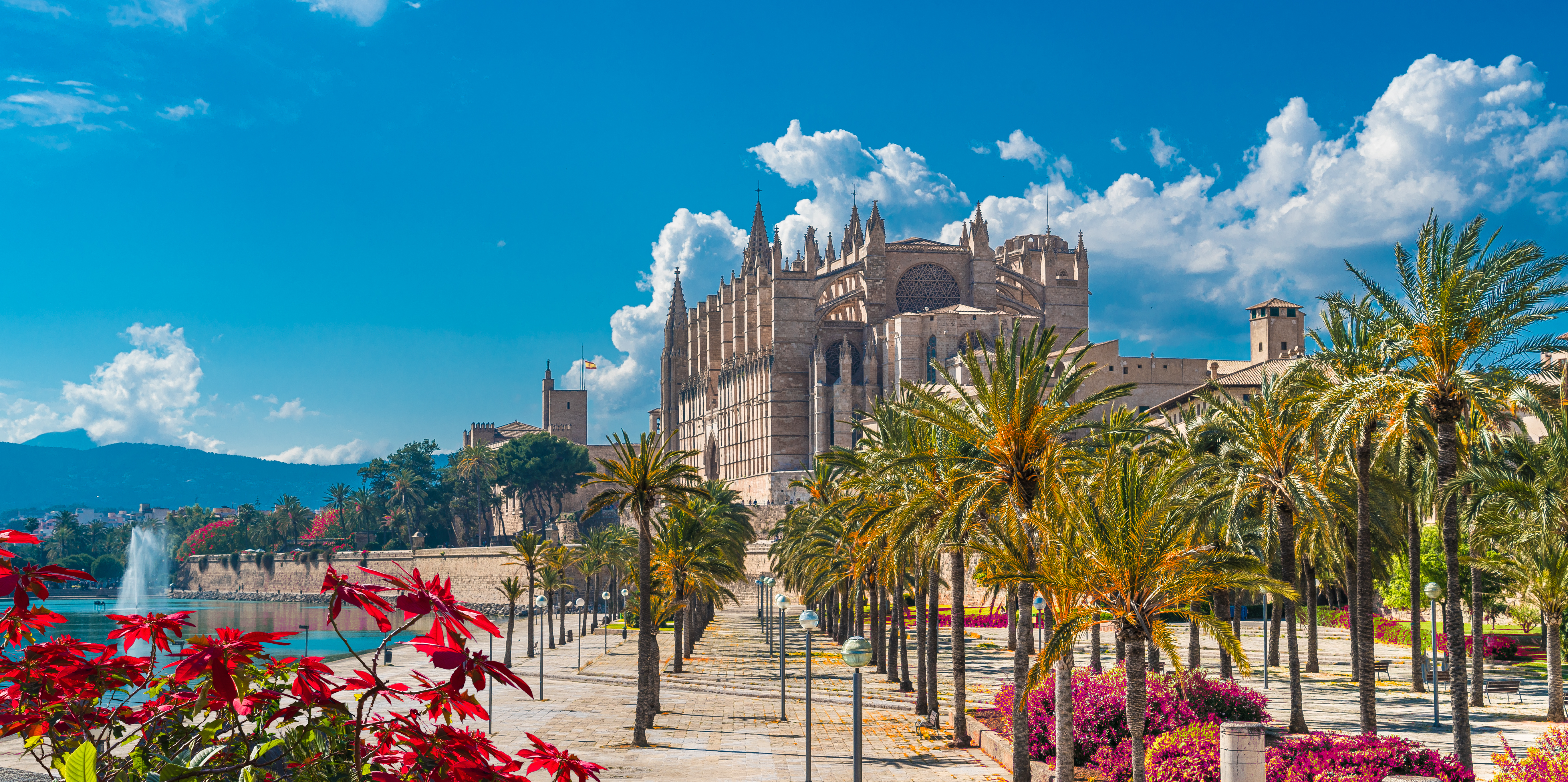 Storslået panorama af La Seu katedralen i Palma de Mallorca, en imponerende gotisk bygning fra 1200-tallet der dominerer havnefronten på den baleariske ø