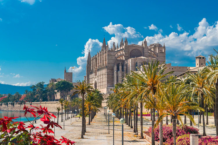 Storslået panorama af La Seu katedralen i Palma de Mallorca, en imponerende gotisk bygning fra 1200-tallet der dominerer havnefronten på den baleariske ø