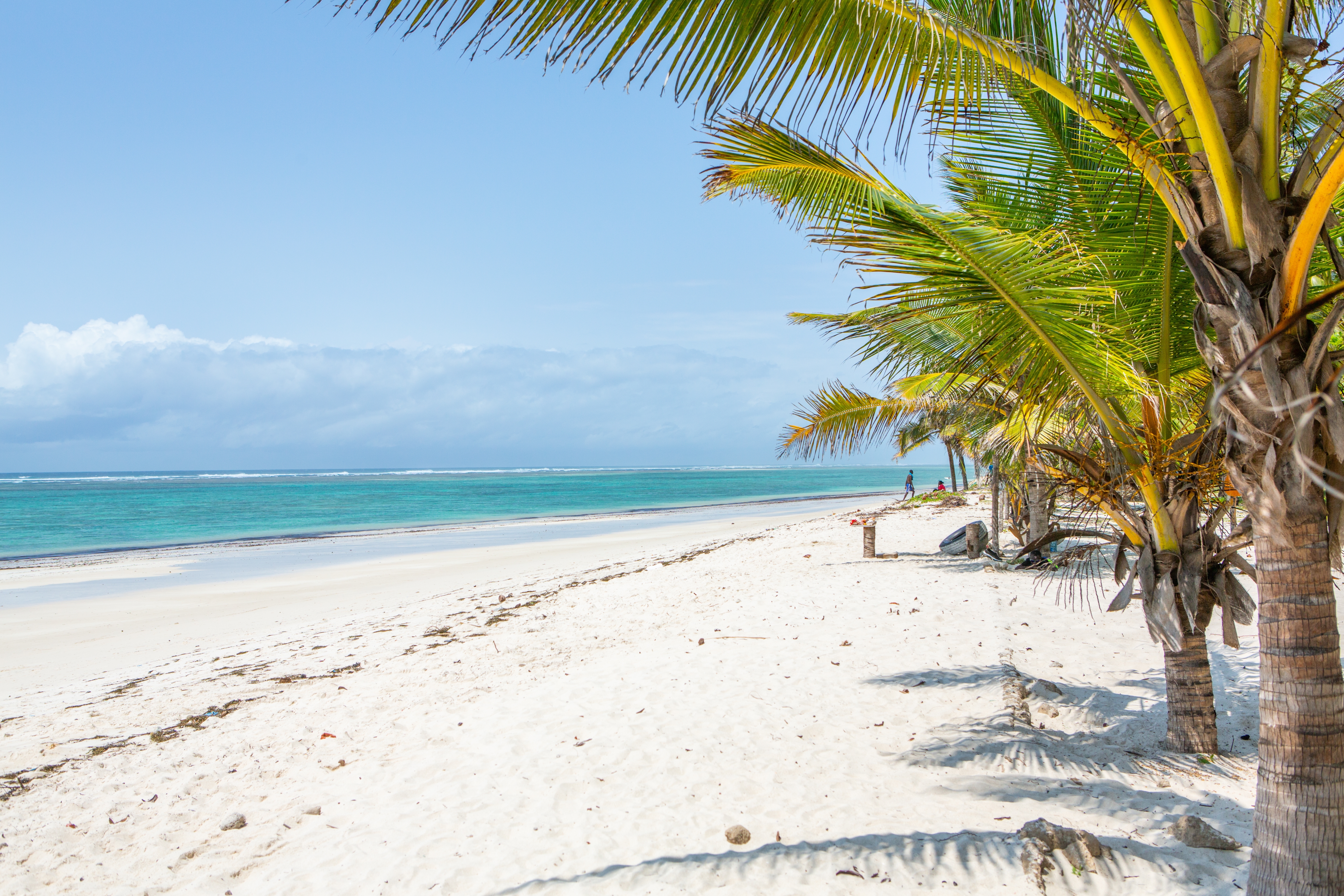 Øde tropisk strand med kokospalmer ved Det Indiske Ocean i Kenya