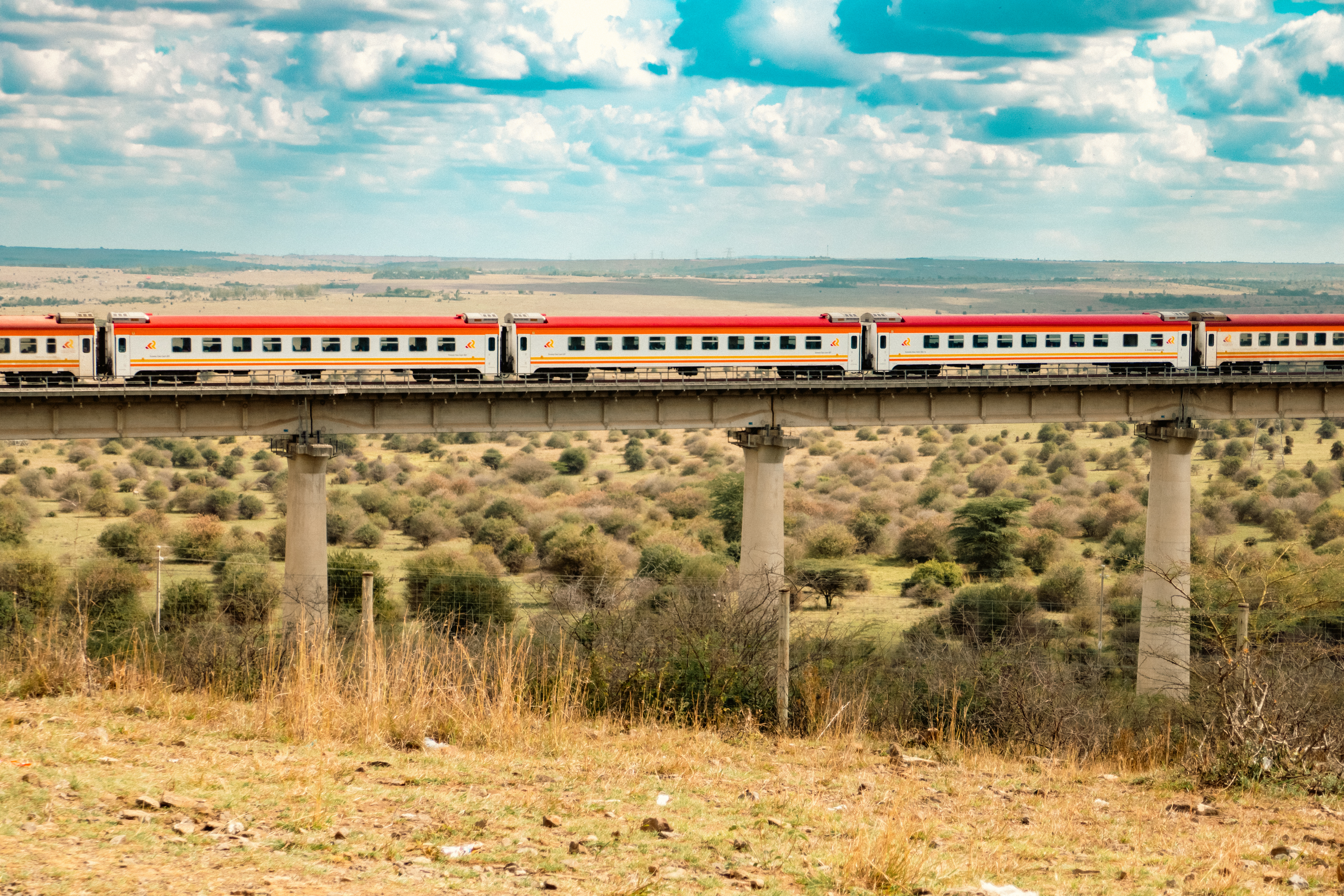 Passagertog på Standard Gauge Railway kører over en bro gennem Nairobi National Park i Kenya
