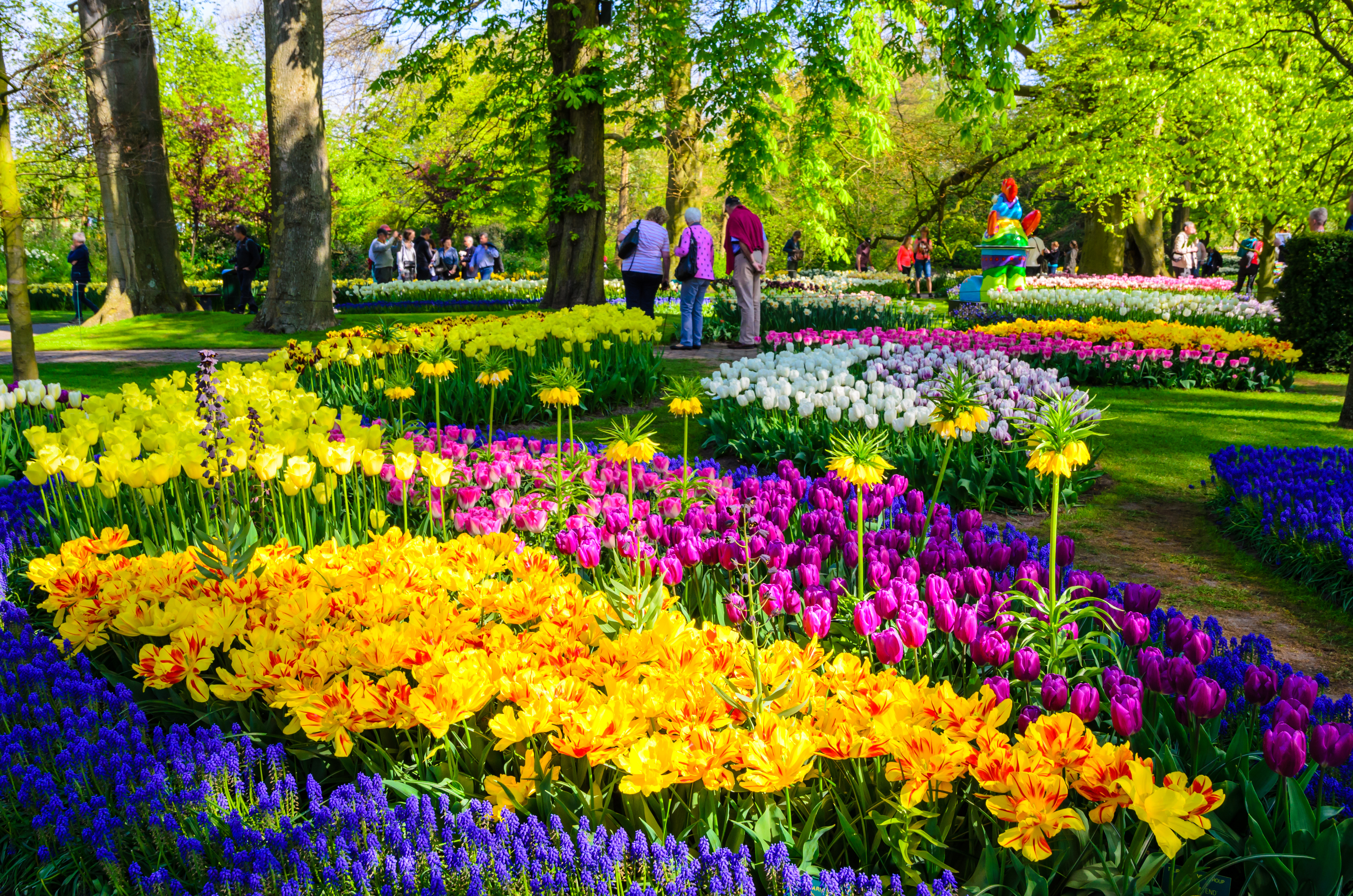 Imponerende blomsterarrangementer med gule, pink og blå blomster i Keukenhof parken i Nederlandene