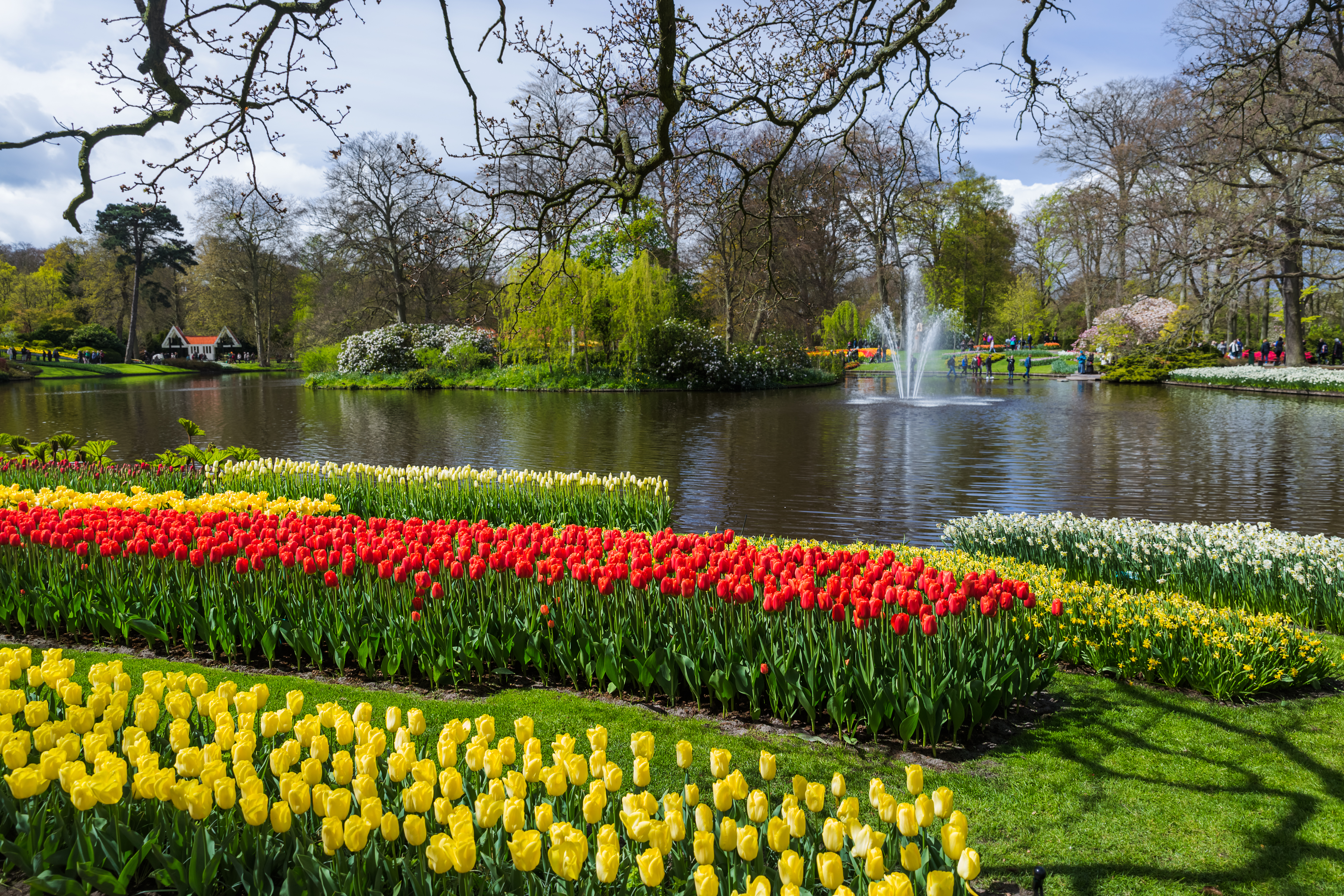 Farvestrålende tulipaner omkring springvand Keukenhof have Nederland