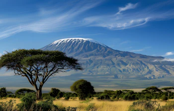 Mount Kilimanjaro og akacietræ i spektakulært afrikansk savannelandskab
