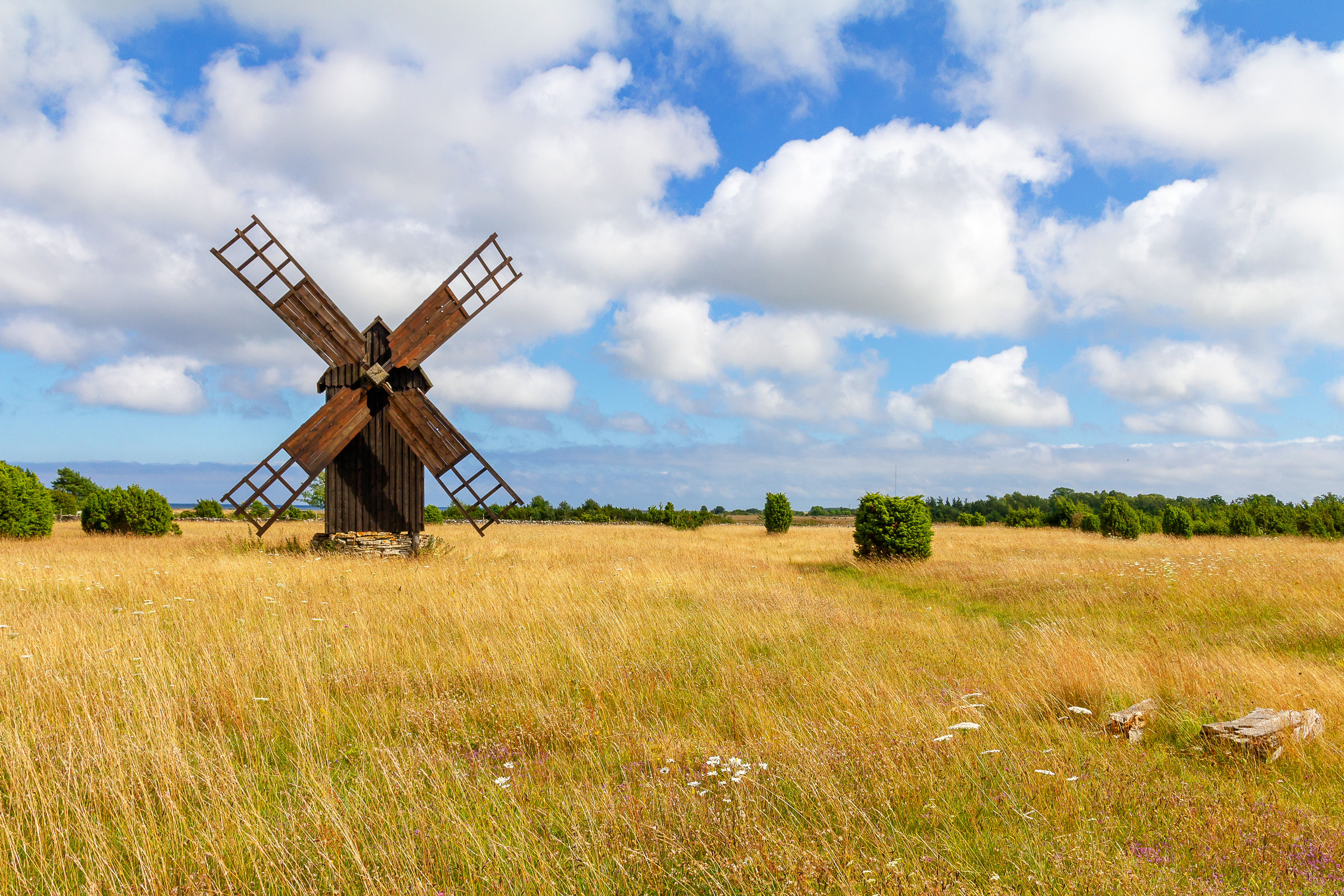 Klassisk træ vindmølle omgivet af europæisk natur og åbent landskab