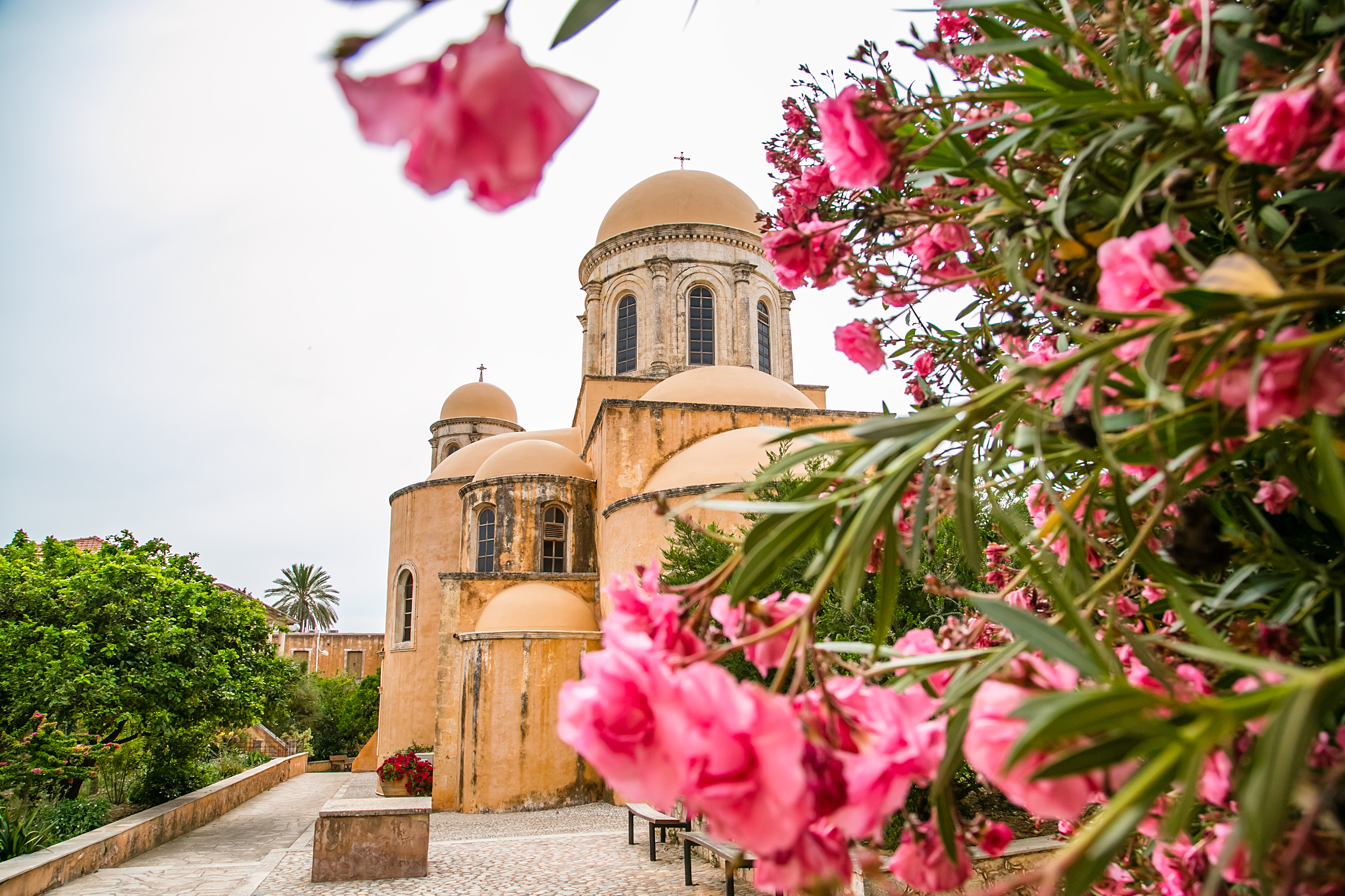 Idyllisk udsigt til det historiske Agia Triada kloster med smukke lyserøde oleanderblomster på Kreta, Grækenland