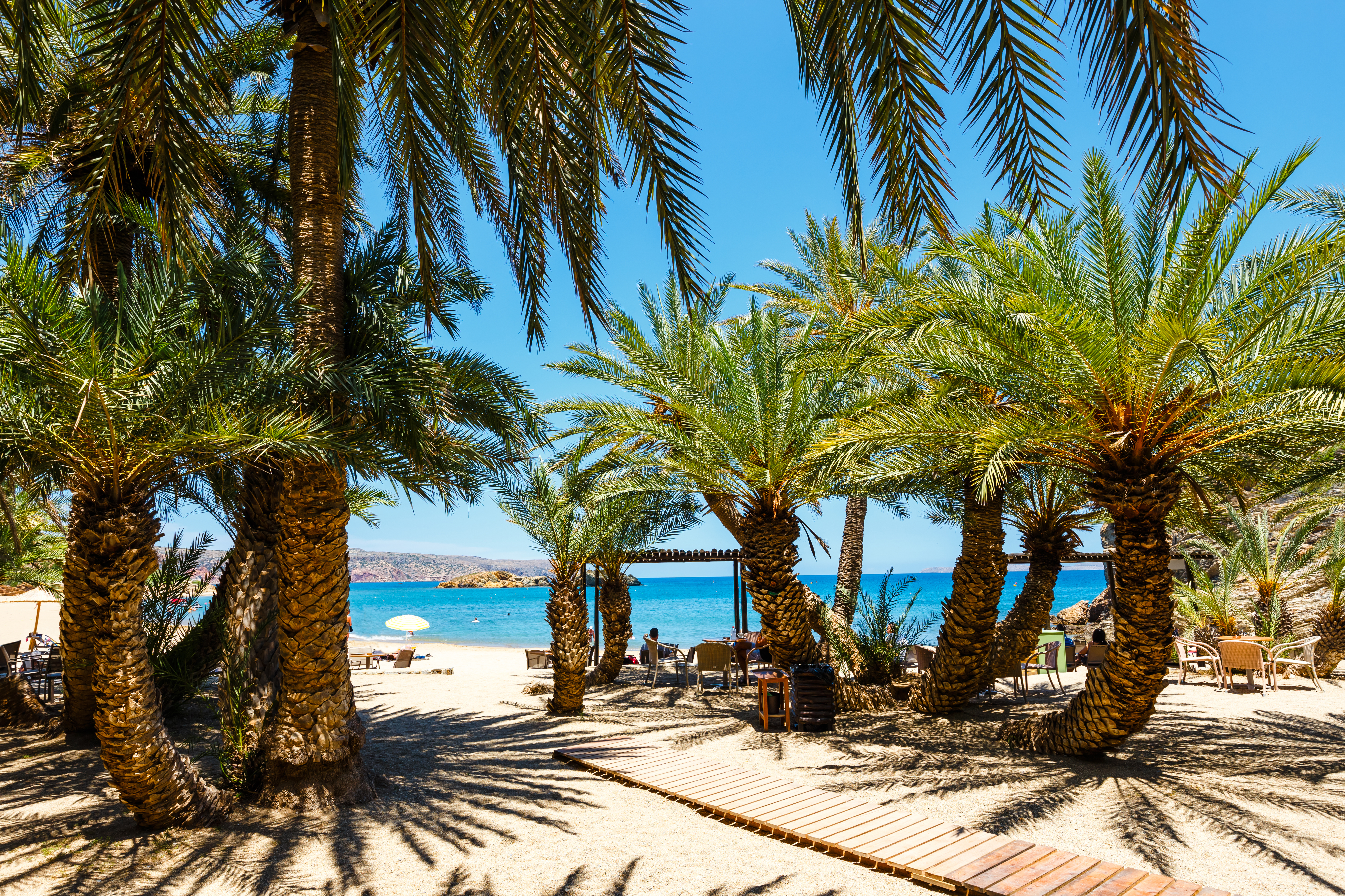 Smuk palmestrand ved Vai på Kreta med tropiske palmer, sandstrand og det klare turkisblå Middelhav