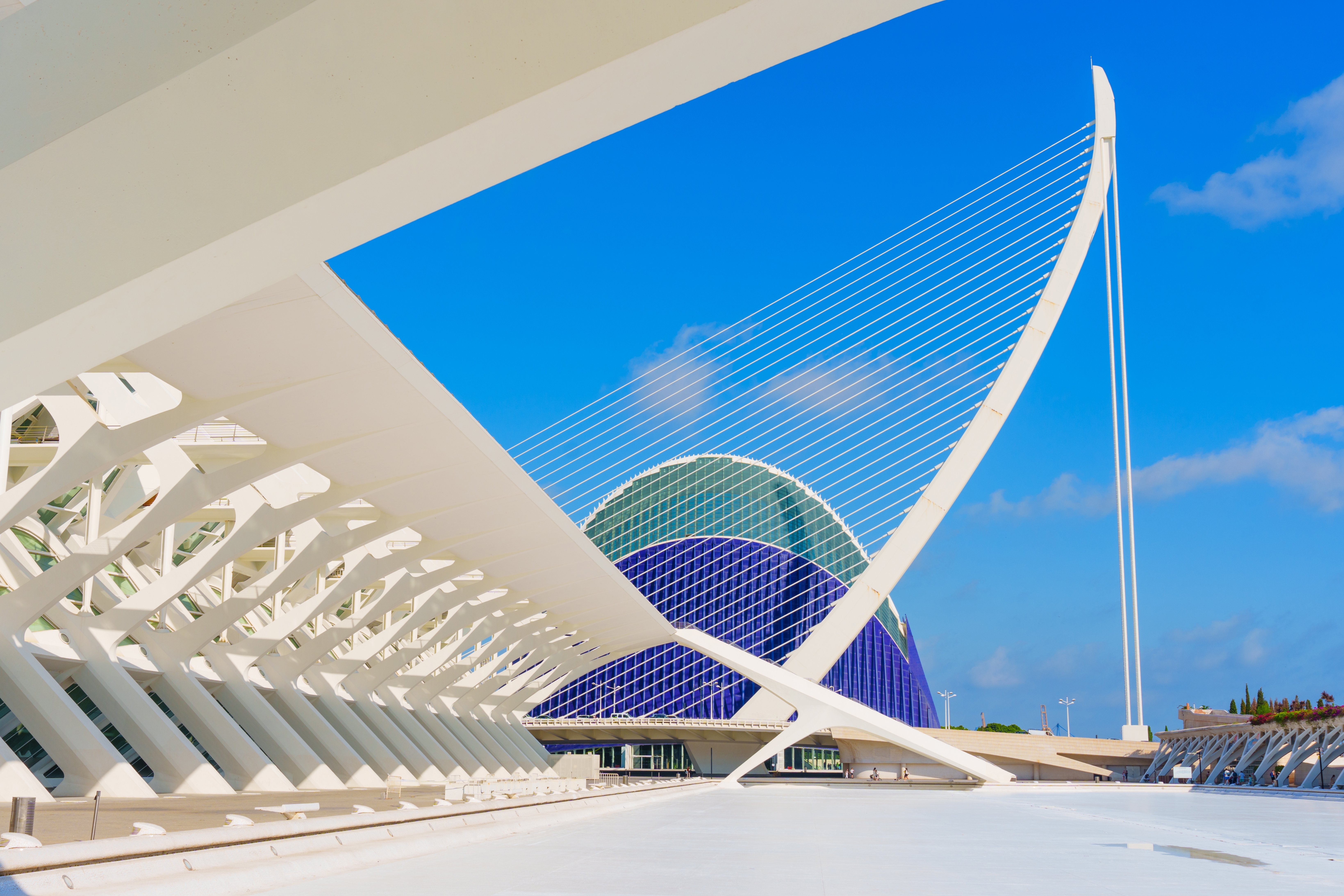 Kunst og Videnskab kompleks Valencia Spanien med ikonisk futuristisk arkitektur og hvide kurver