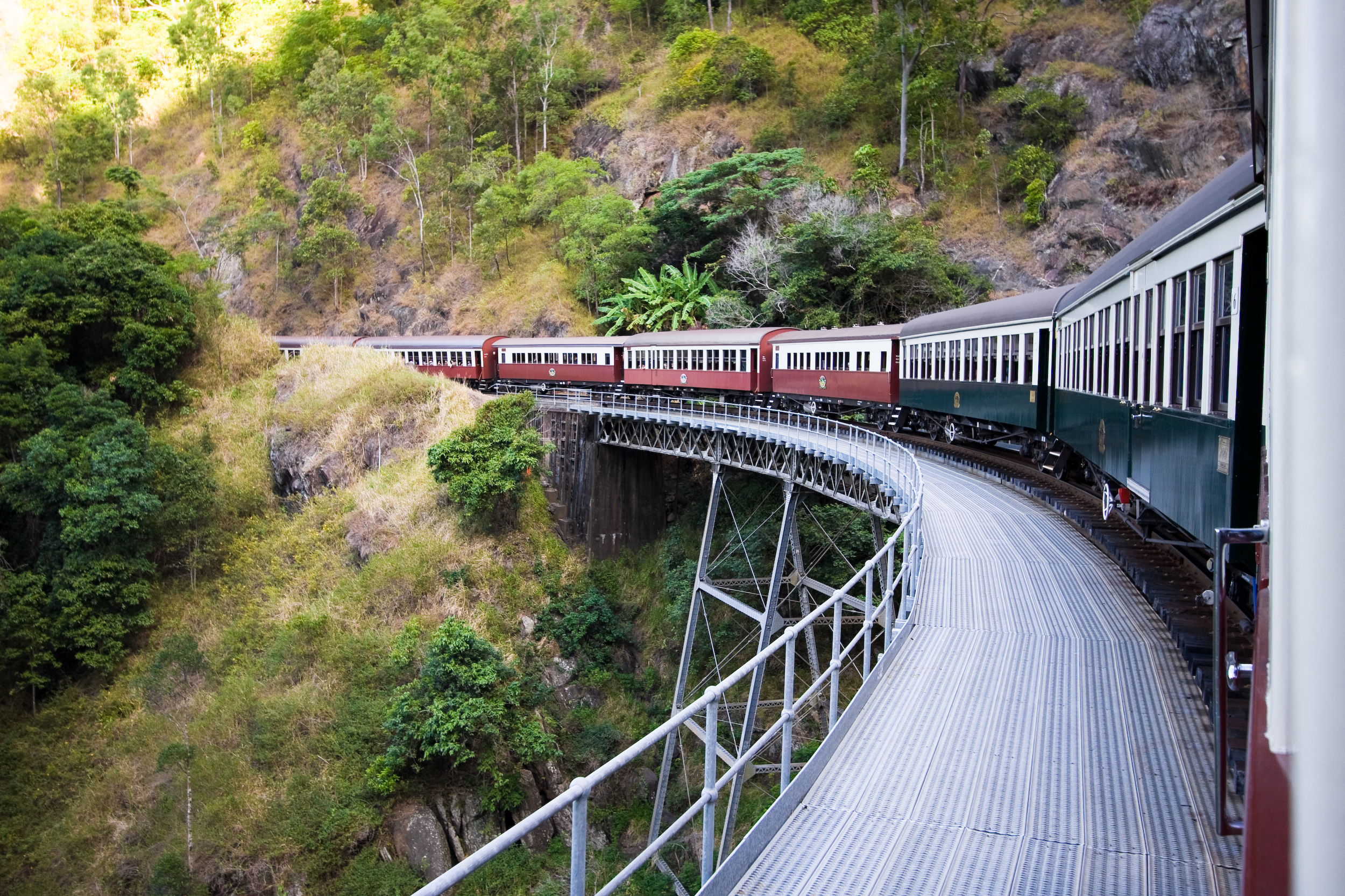Spektakulær togrejse over jernbanebro gennem tæt regnskov i Kuranda Australien