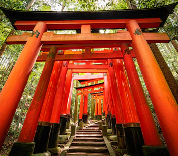 Fascinerende røde torii-porte på stien ved Fushimi Inari Taisha i Kyoto - en historisk shinto-helligdom og vigtig kulturarv i Japan