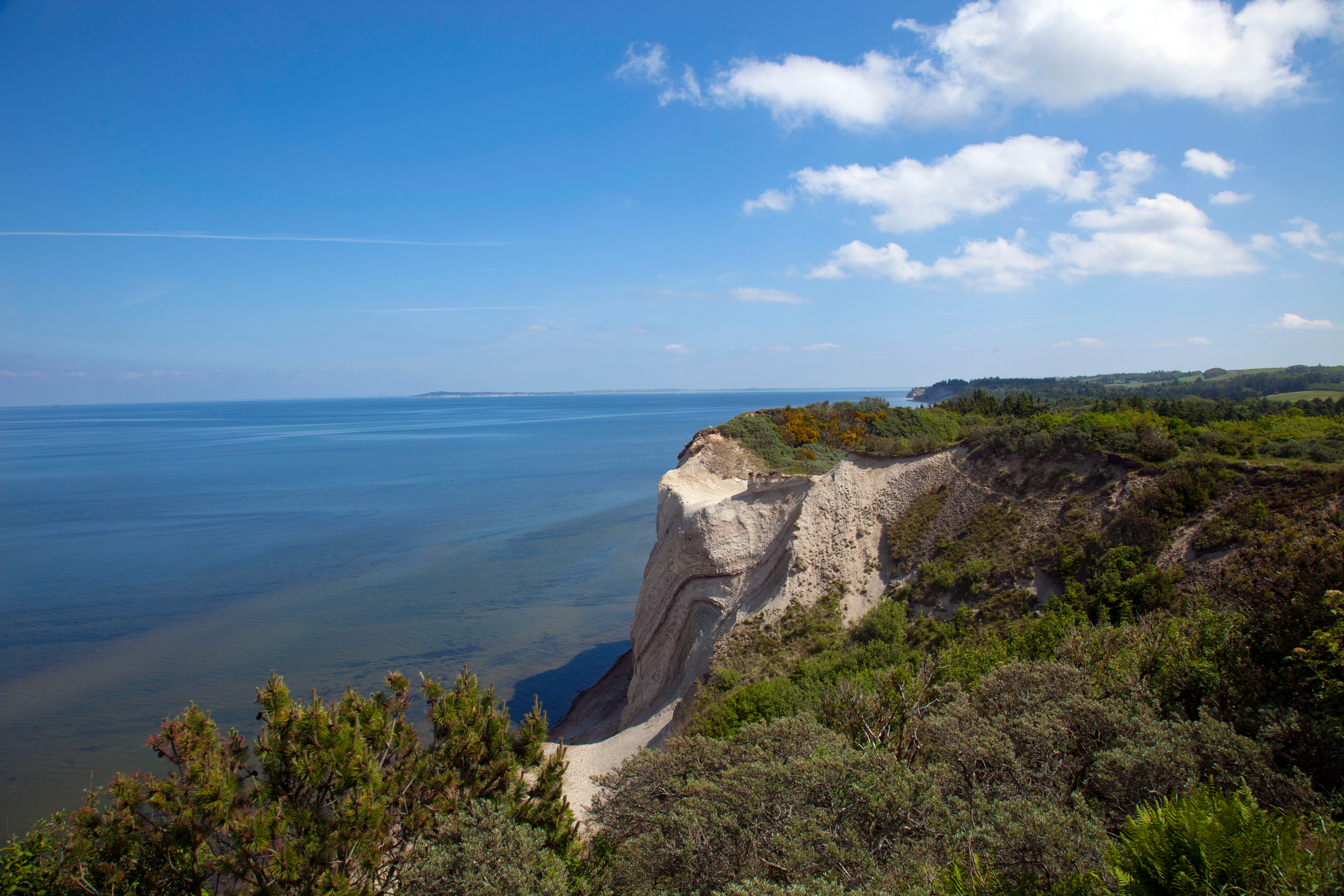 Smukt kystlandskab med høje hvide klipper, turkis vand og tæt grøn vegetation