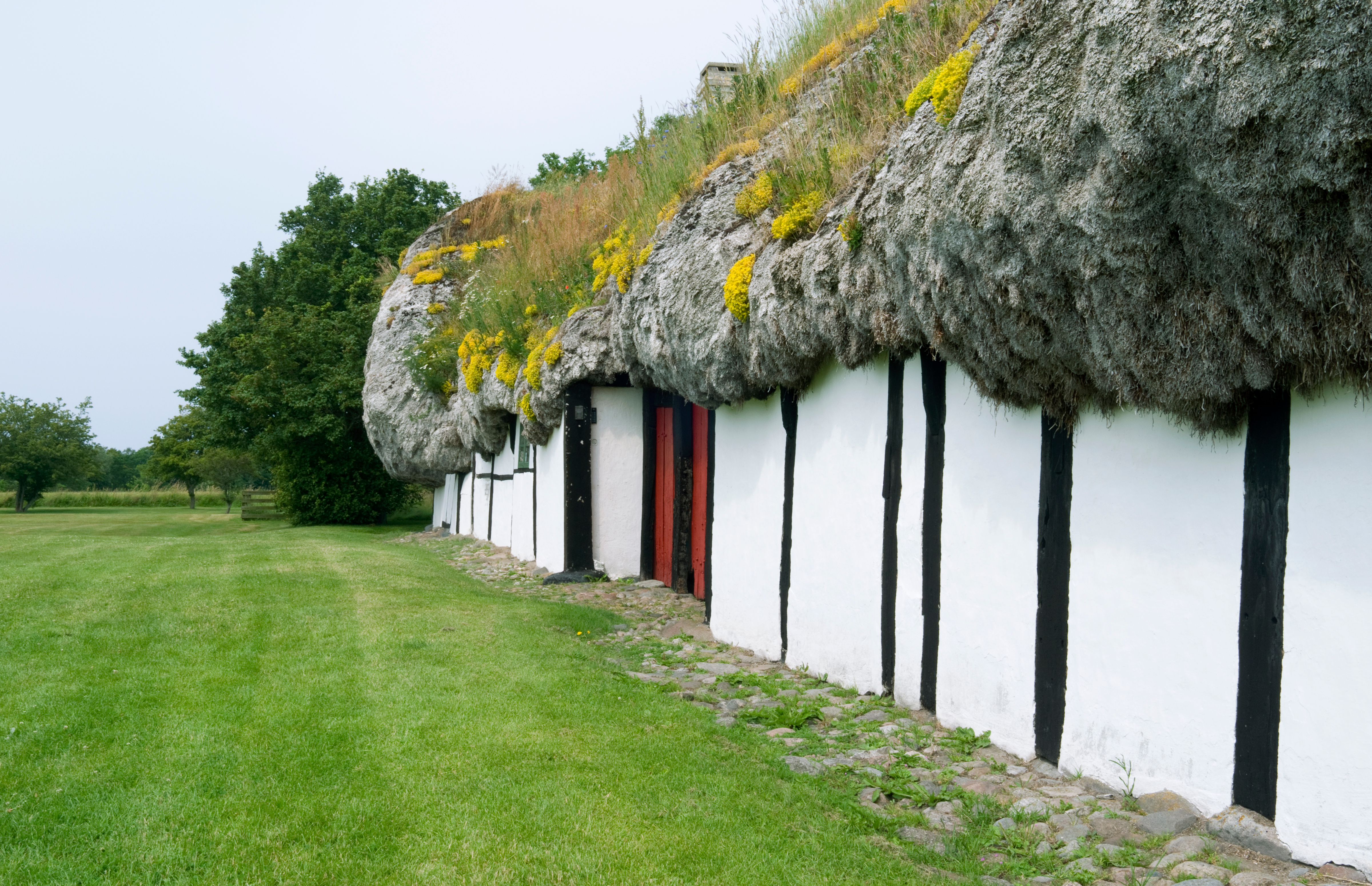 Traditionelt bindingsværkshus med tangtag på Læsø i Nordjylland – et unikt stykke dansk byggeskik