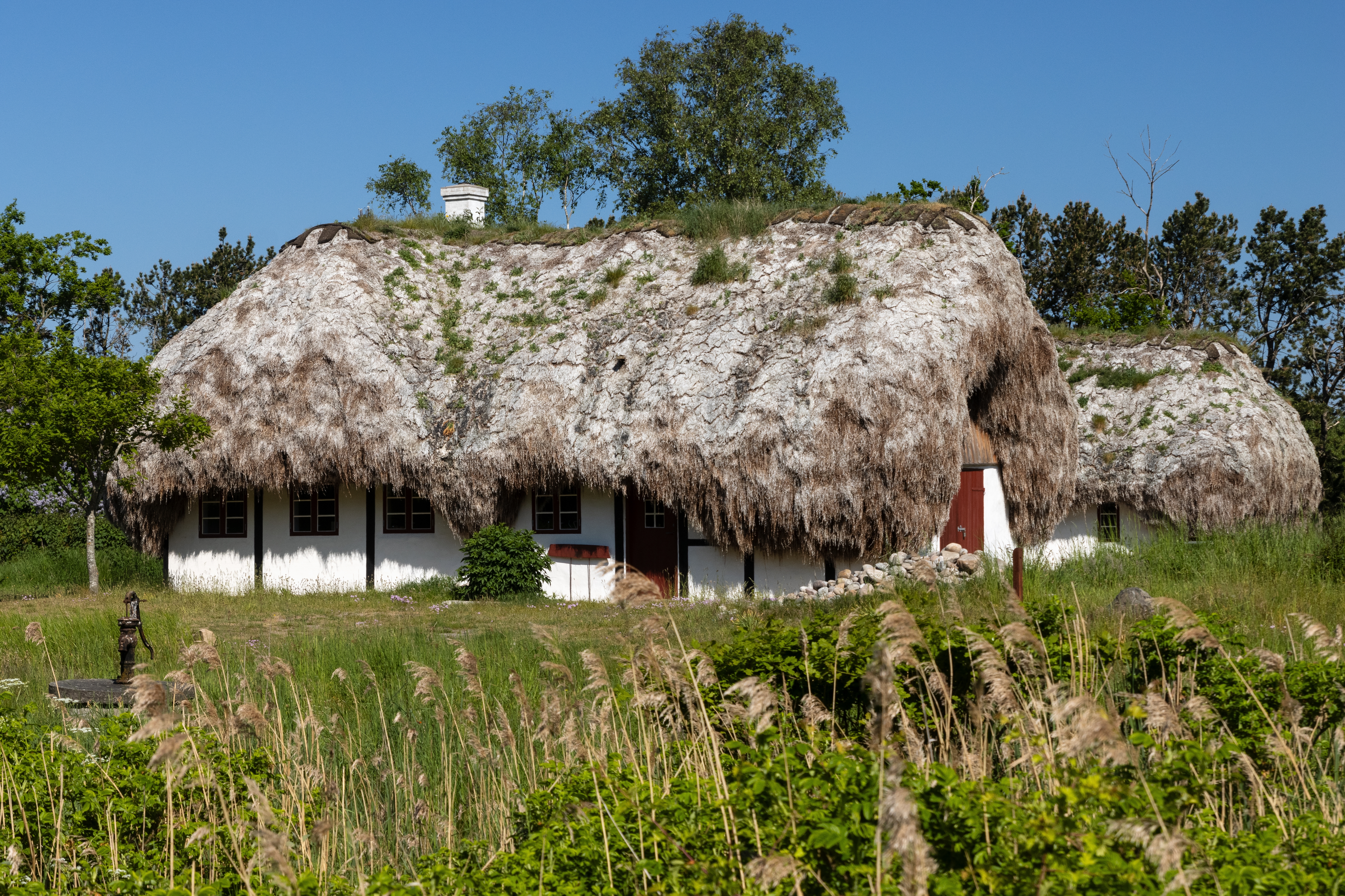 Charmerende hus med tangtag på Læsø – en af Danmarks mest unikke seværdigheder med rødderne dybt i lokal tradition