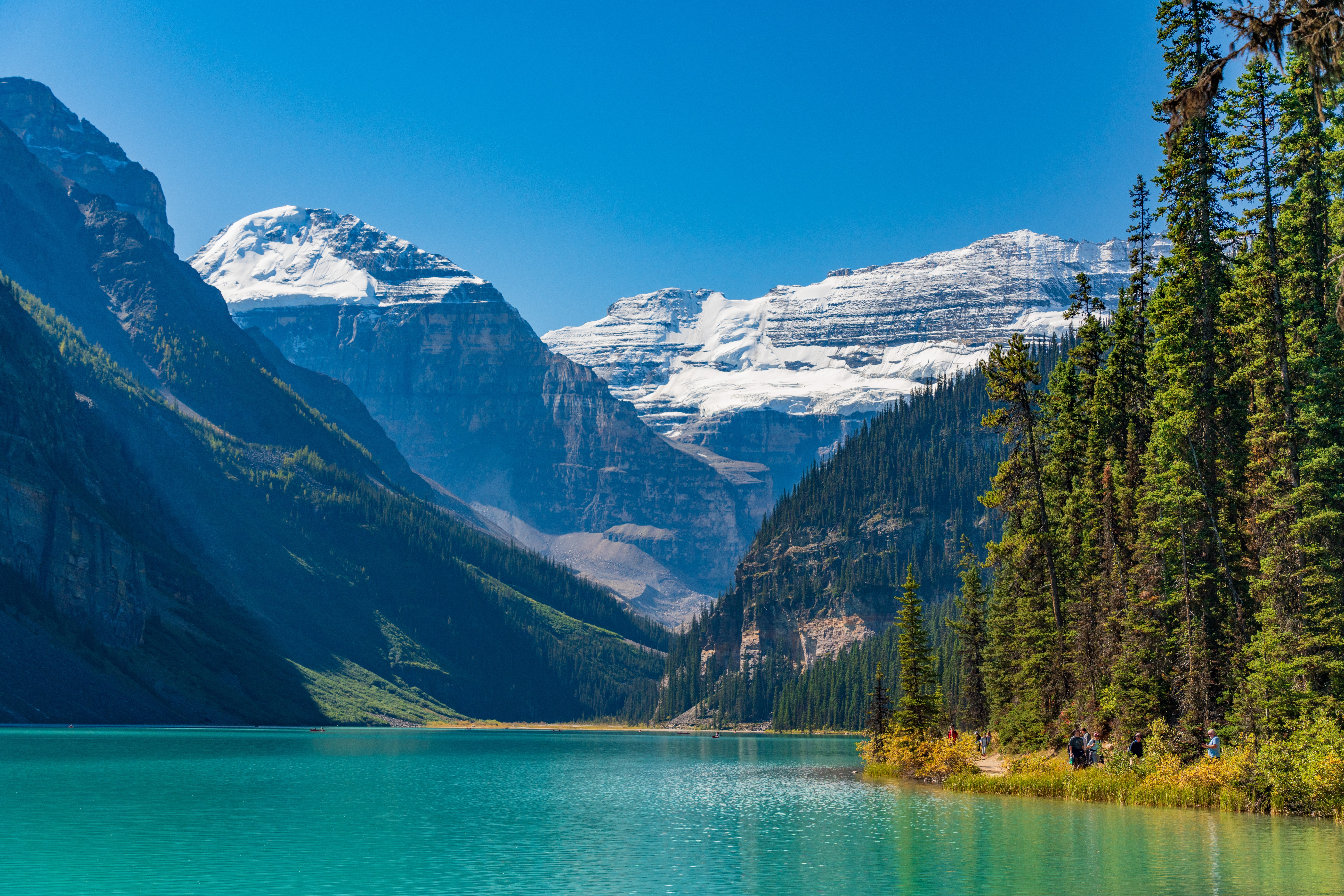 Naturskøn udsigt over det turkisfarvede Lake Louise omgivet af snedækkede bjerge og nåleskove i Banff Nationalpark, Alberta
