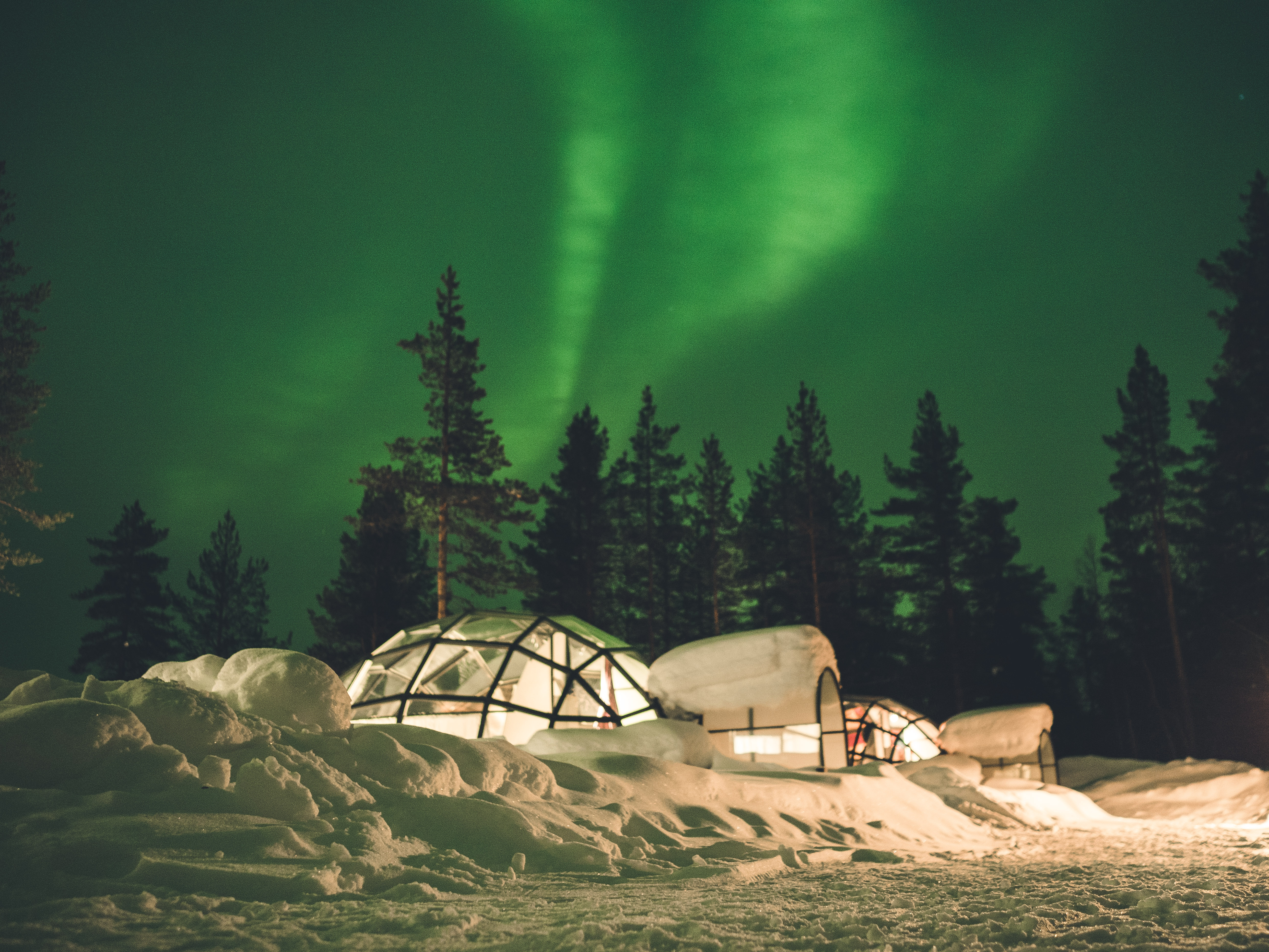 Eventyrligt grønt nordlys illuminerer nattehimlen over en luksuriøs glashytte i Laplands sneklædte landskab, omgivet af mørke silhuetter af arktiske træer