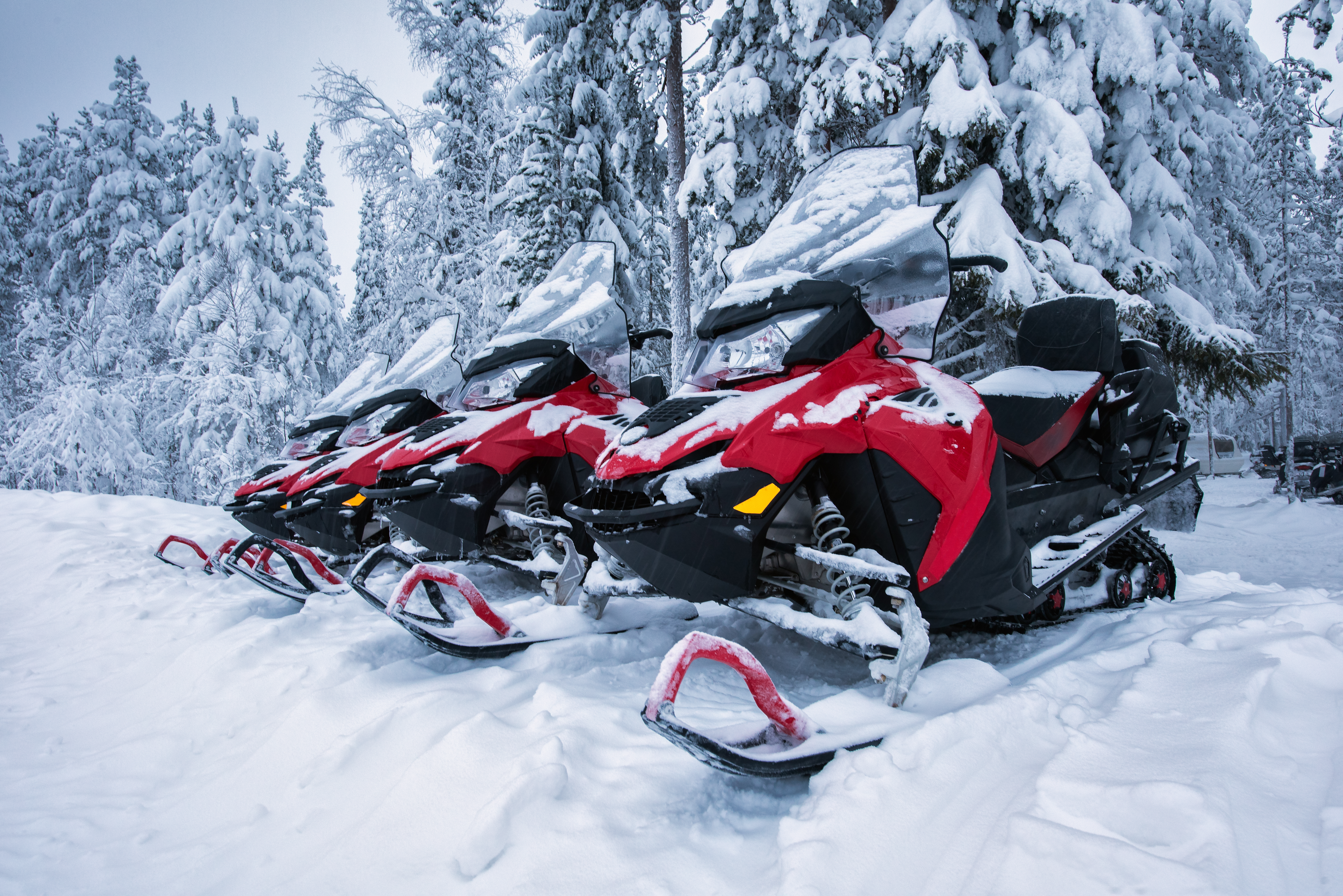 Lapland snescooter safari med røde scootere i hvidt vinterlandskab