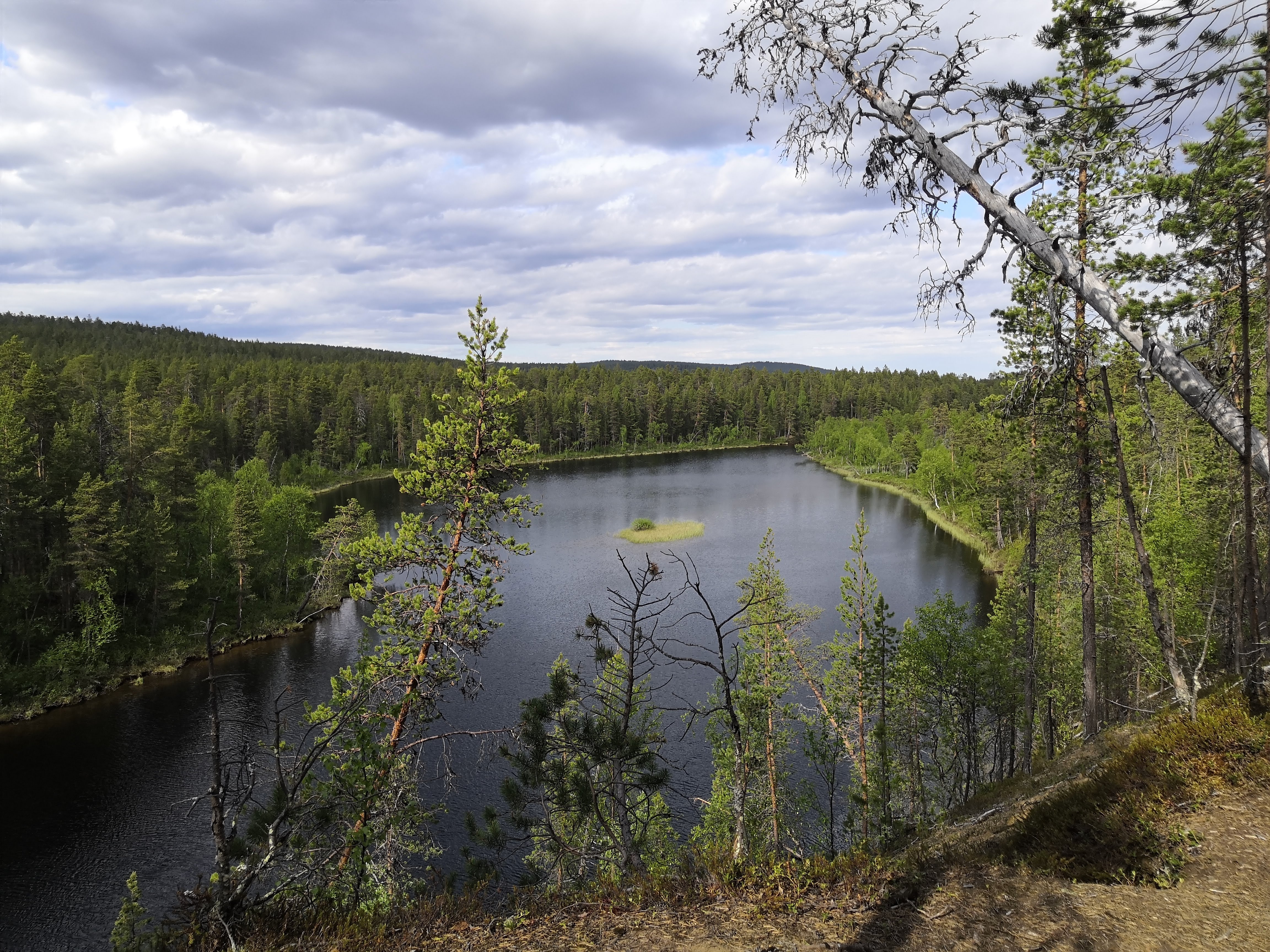 Uberørt vildmarkssø i Lemmenjoki Nationalpark, Finsk Lapland, omgivet af tæt nordisk nåleskov om sommeren