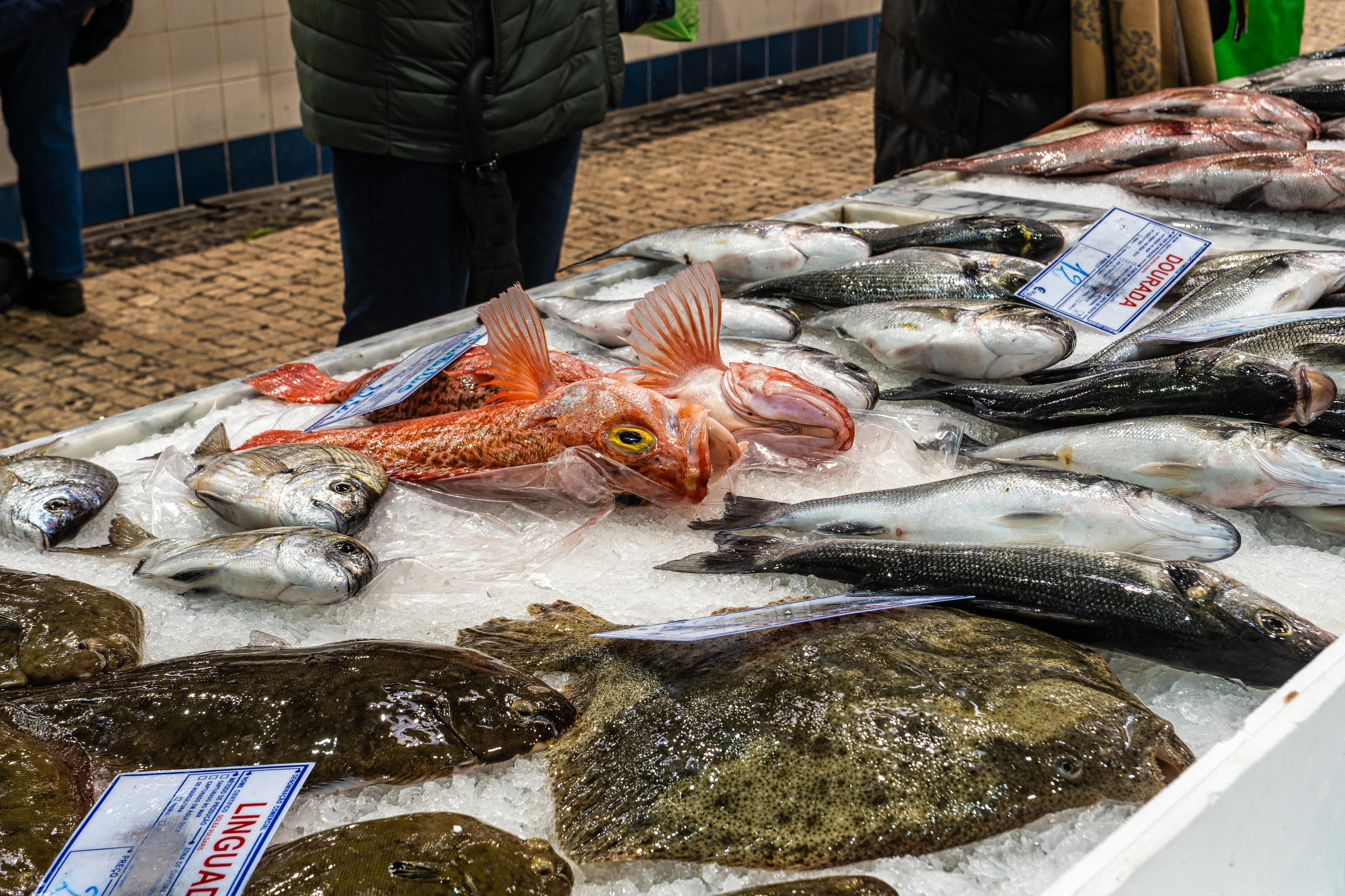 Livramento marked i Setúbal med frisk fisk og havfrugter på is