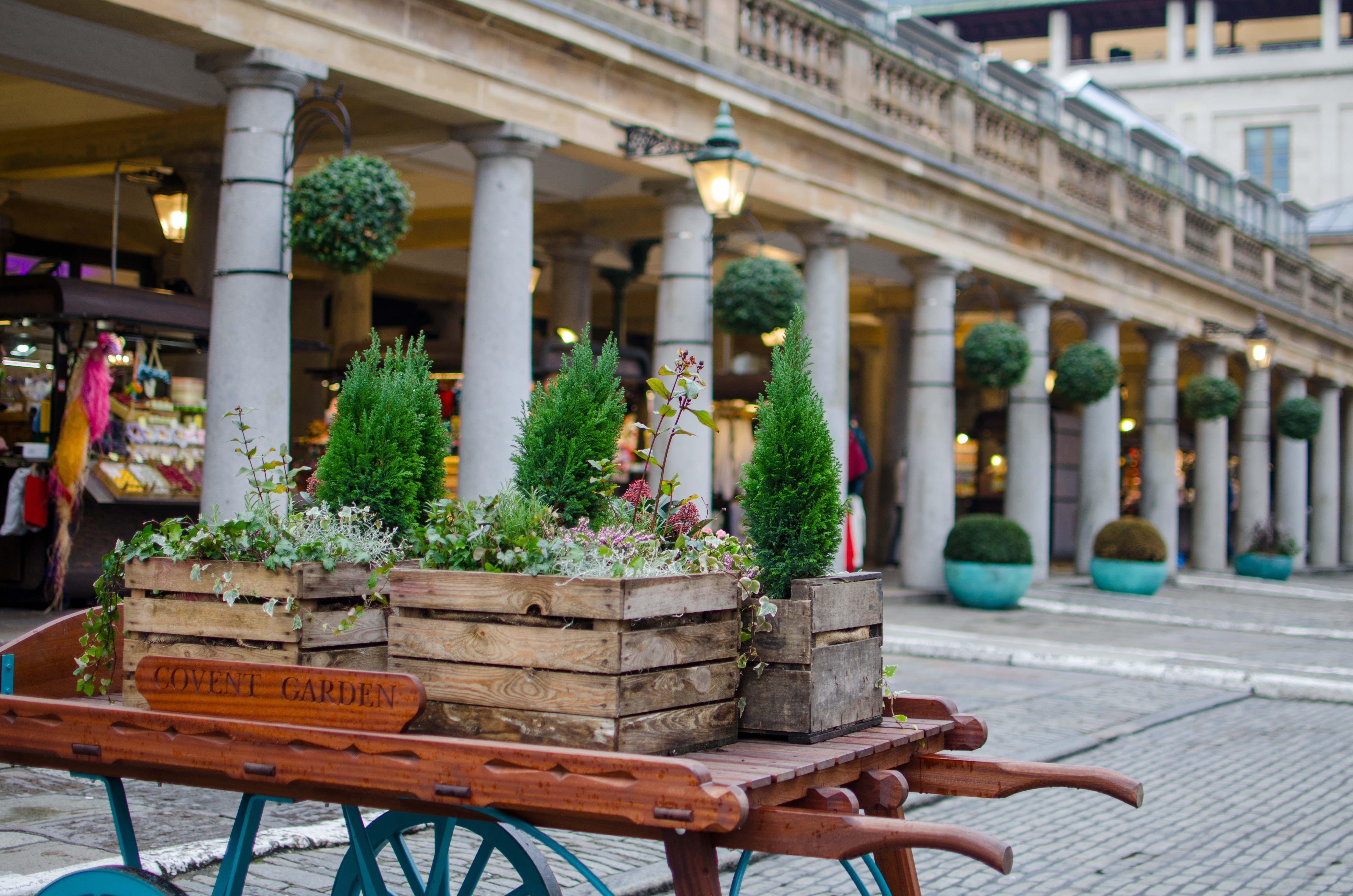 Dekorativ blomstervogn med grønne topiary planter ved Covent Gardens smukke kolonnade i London
