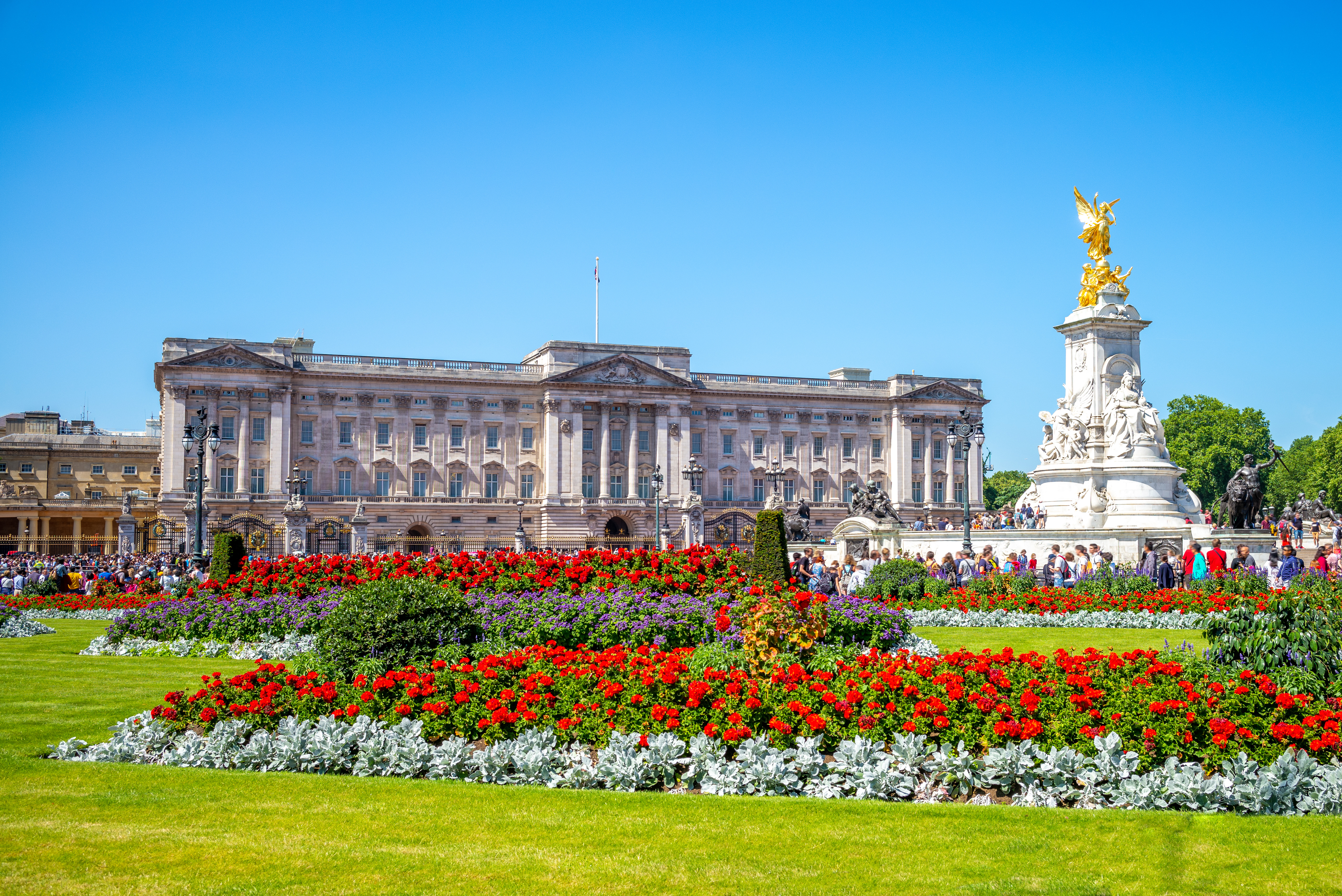 Kongelig vagt foran Buckingham Palace i London med blomstrende have i foråret