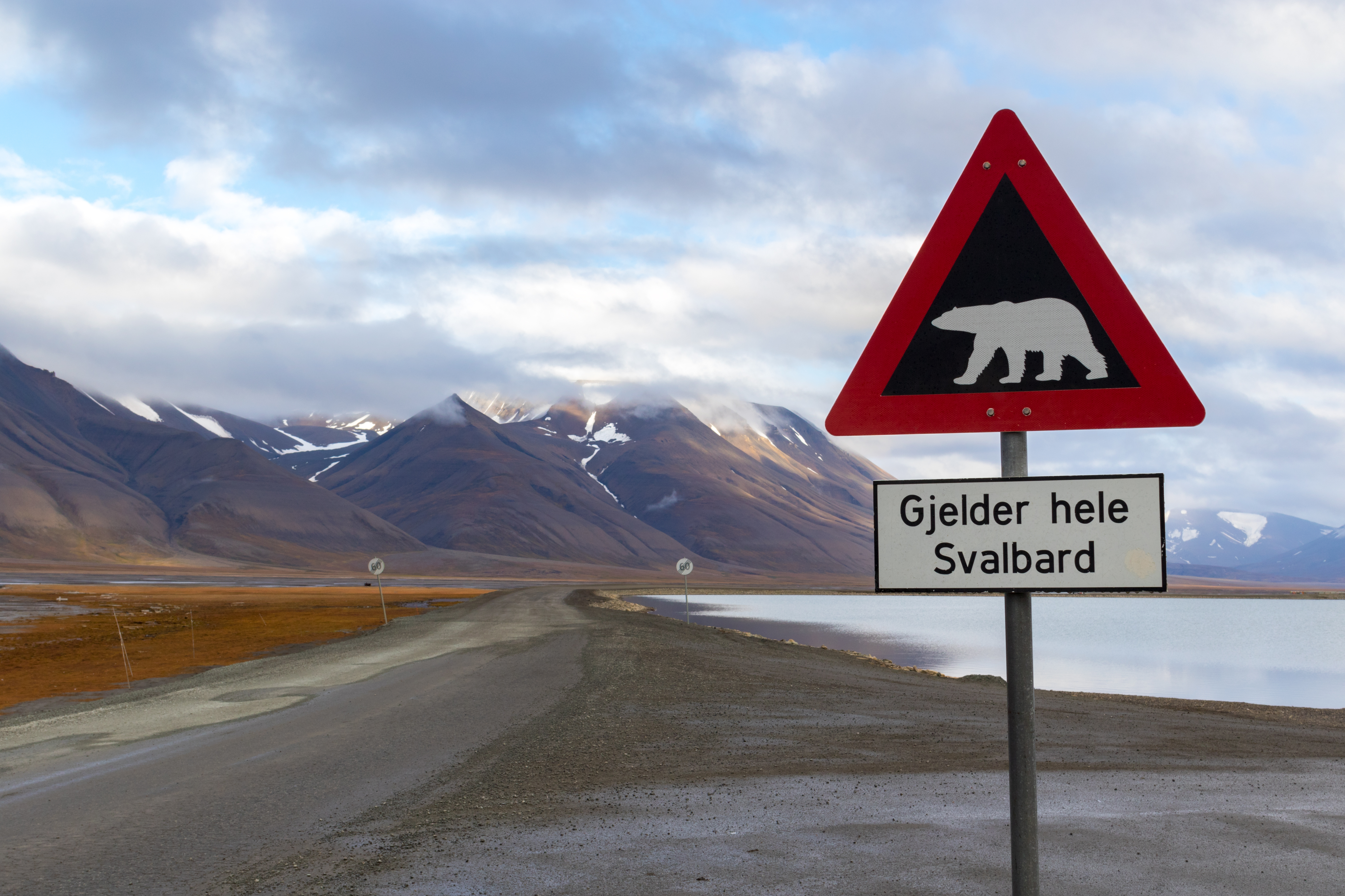 Dramatisk arktisk sceneri med det velkendte isbjørn-advarselsskilt ved Longyearbyen, der minder besøgende om Svalbards vilde natur og potentielle farer