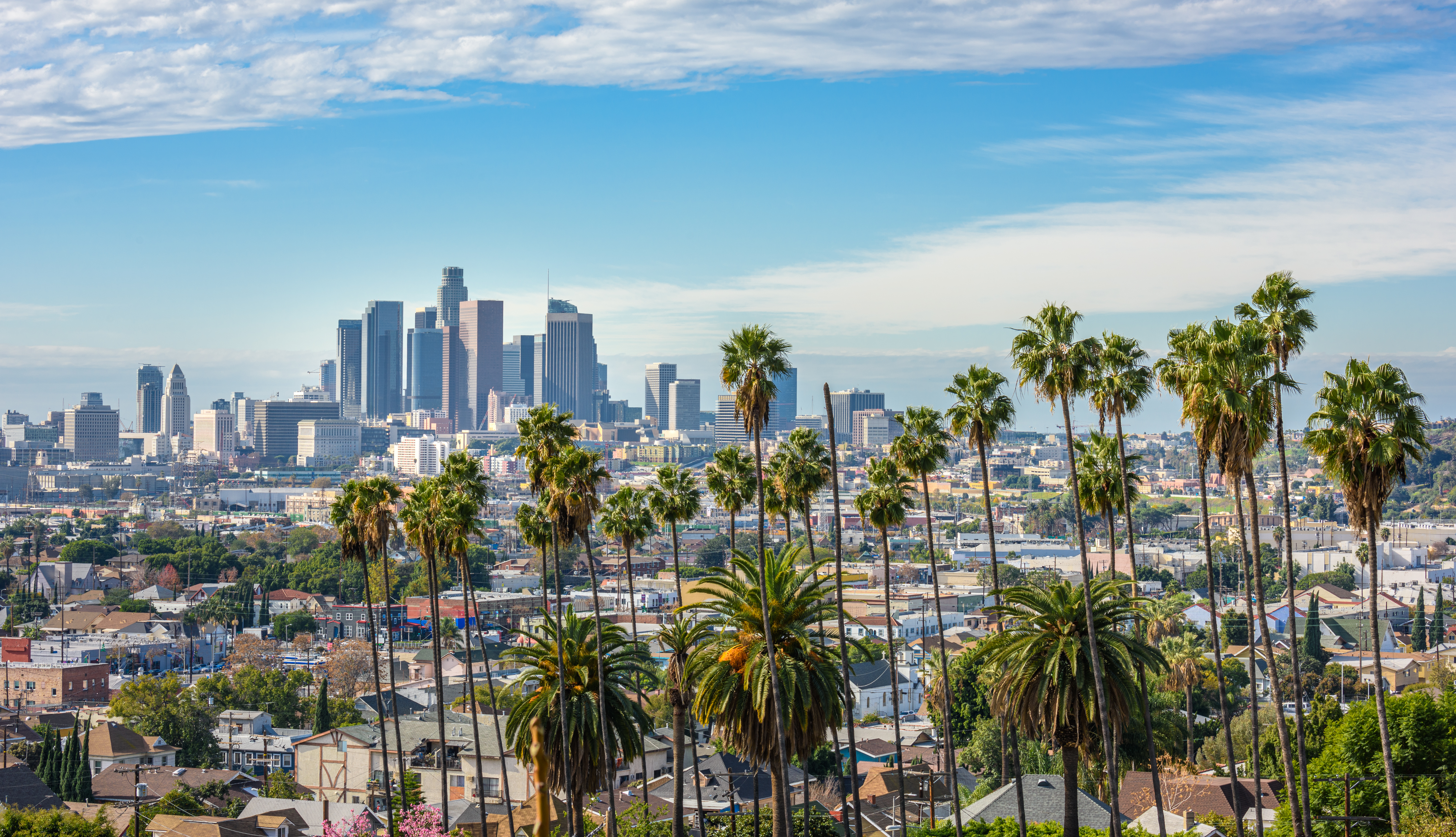 Los Angeles med palmetræer og skyline i det smukke Californien USA