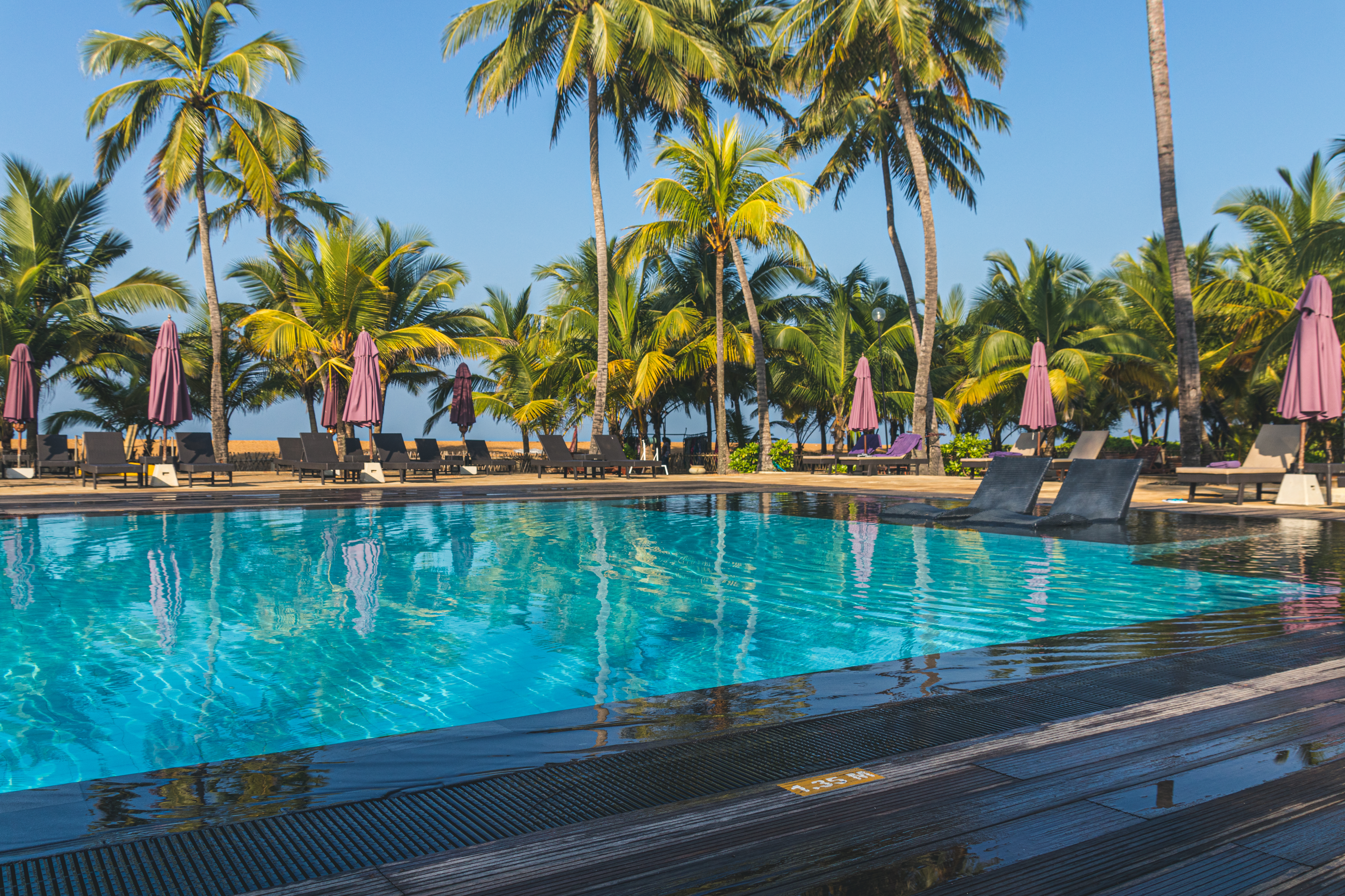 Luksuspool med solsenge og palmer ved Kalutara Beach resort på Sri Lanka