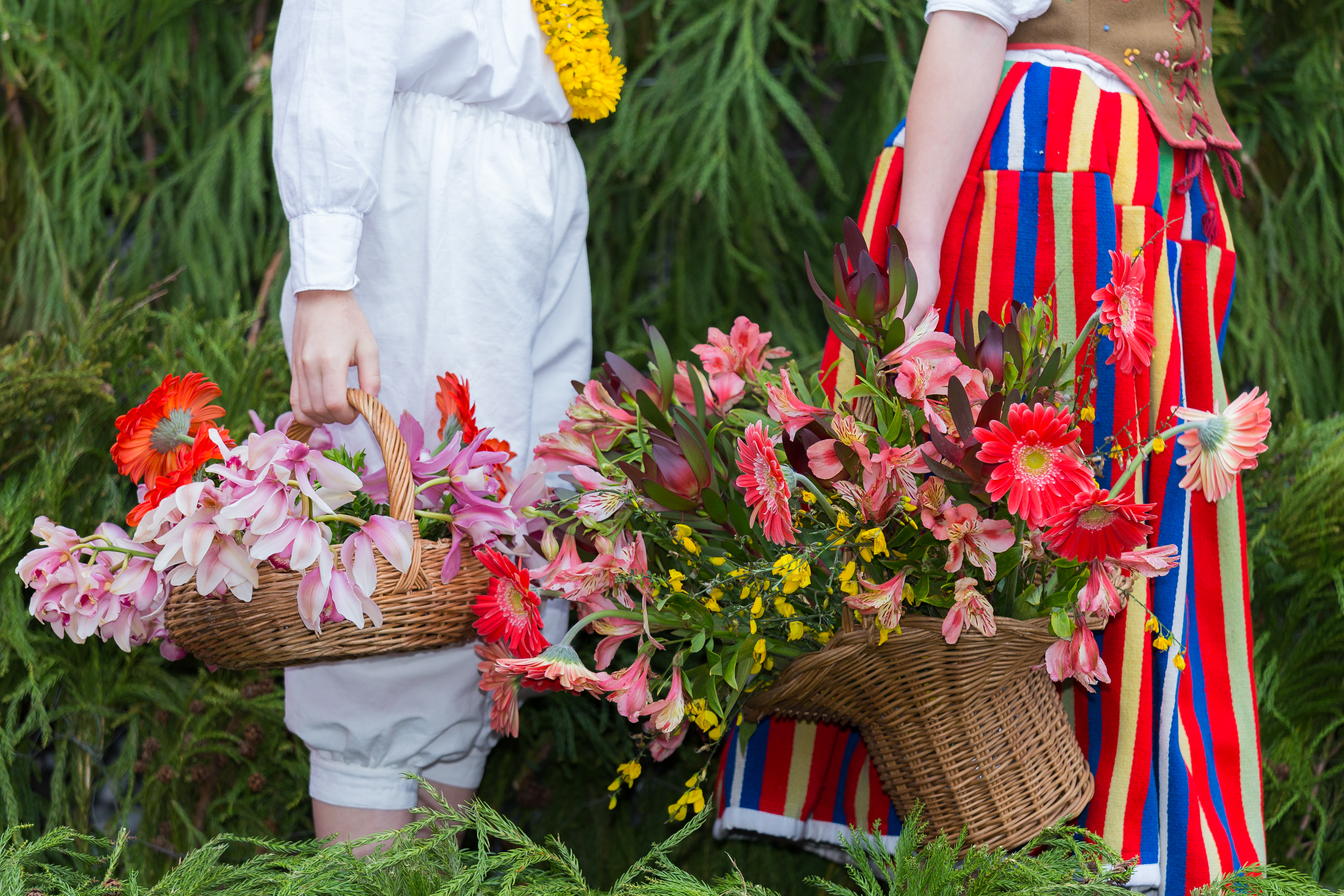 Unge deltagere i traditionelle madeiranske dragter viser blomsterkunst frem under den farvestrålende blomsterfestival på Madeira