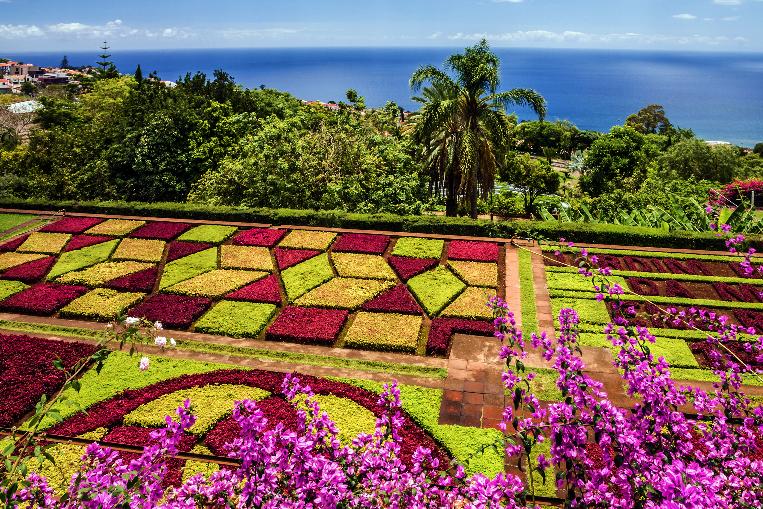 Tropisk have på Madeira med farverige blomsterterrasser og udsigt til Atlanterhavet