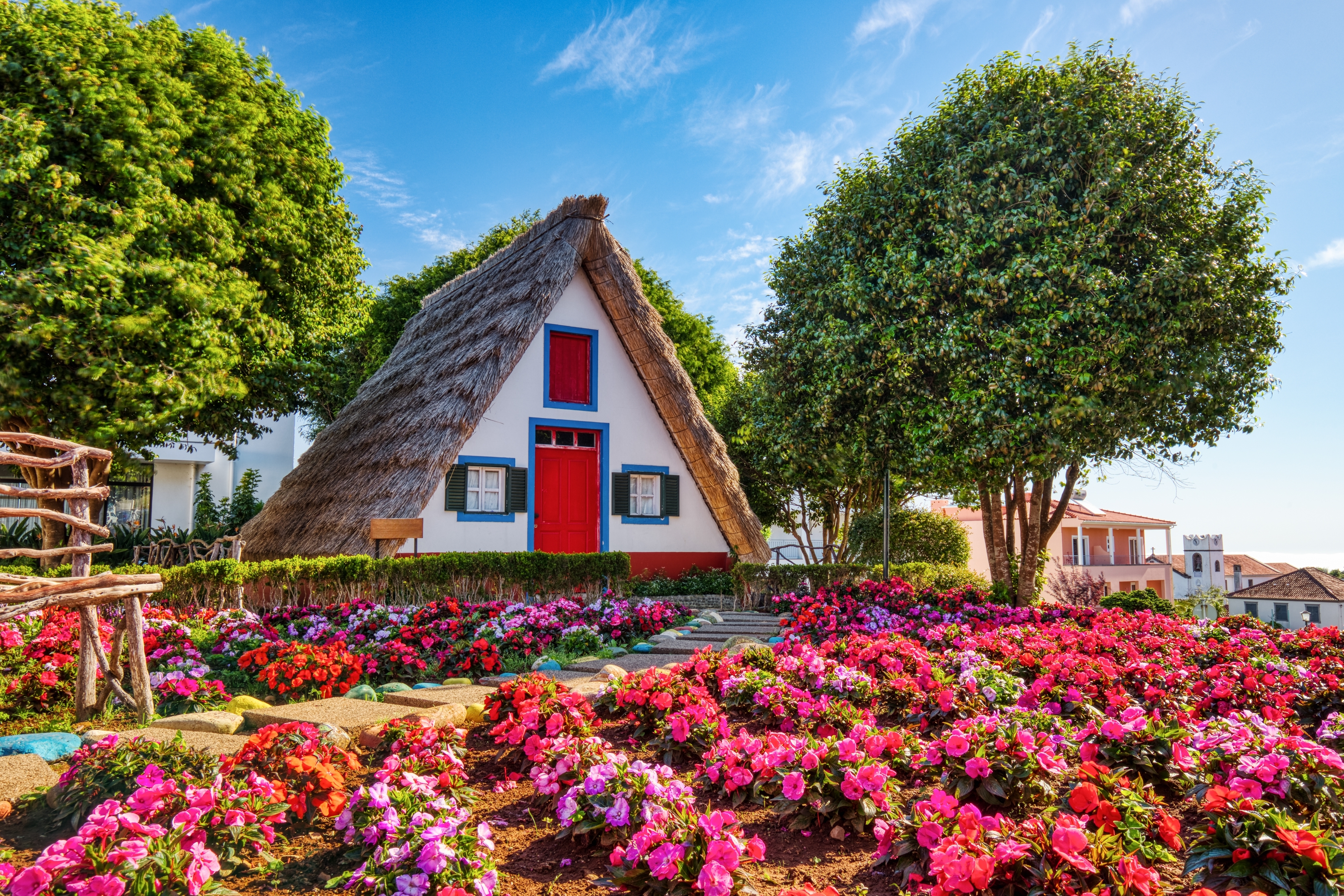 Historiske trekantede hytter med stråtag og farverige facader omgivet af blomster i Santana på Madeira-øen