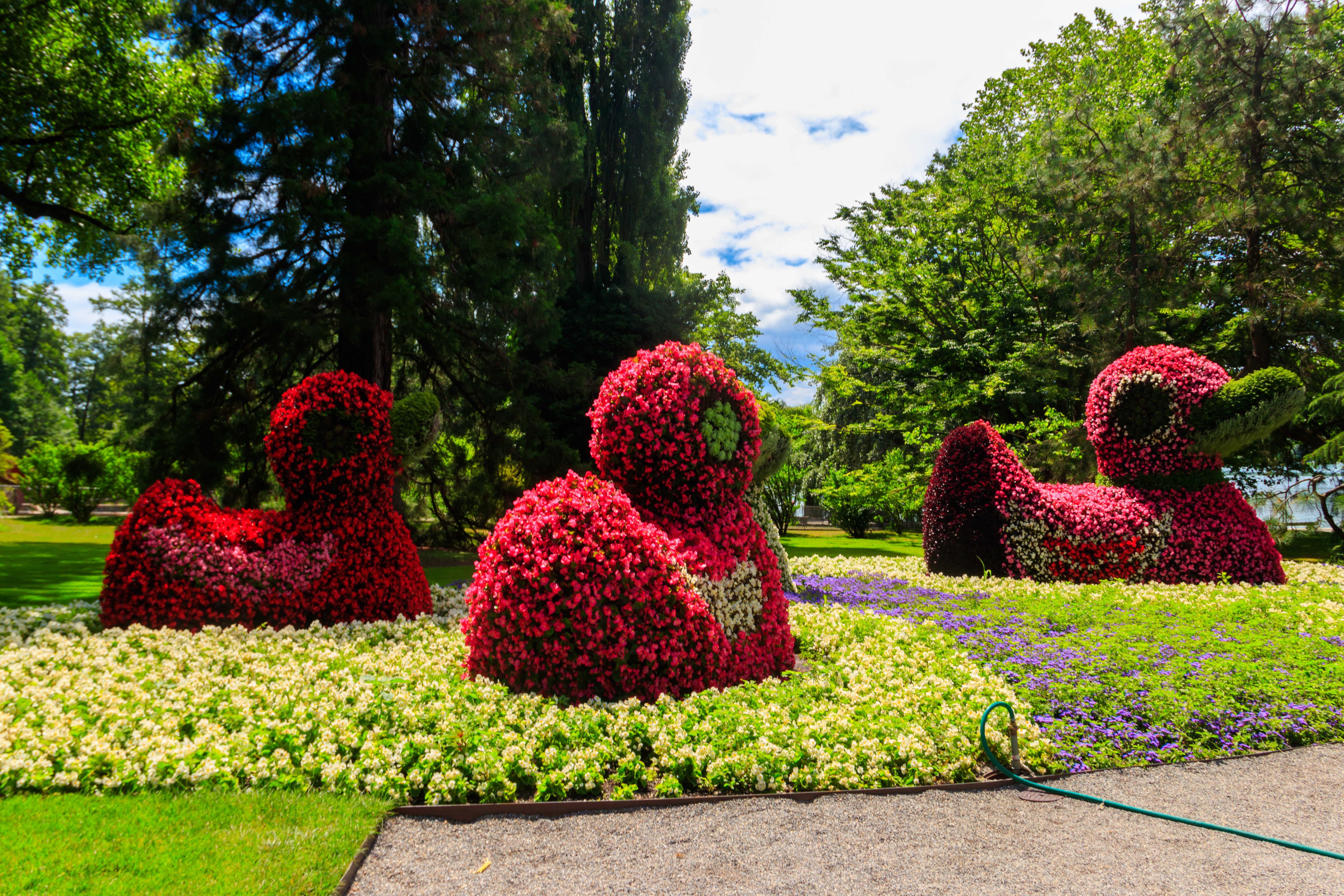 Oplevelsen af blomsterøen Mainau med de karakteristiske blomsterænder ved Bodensee i Tyskland