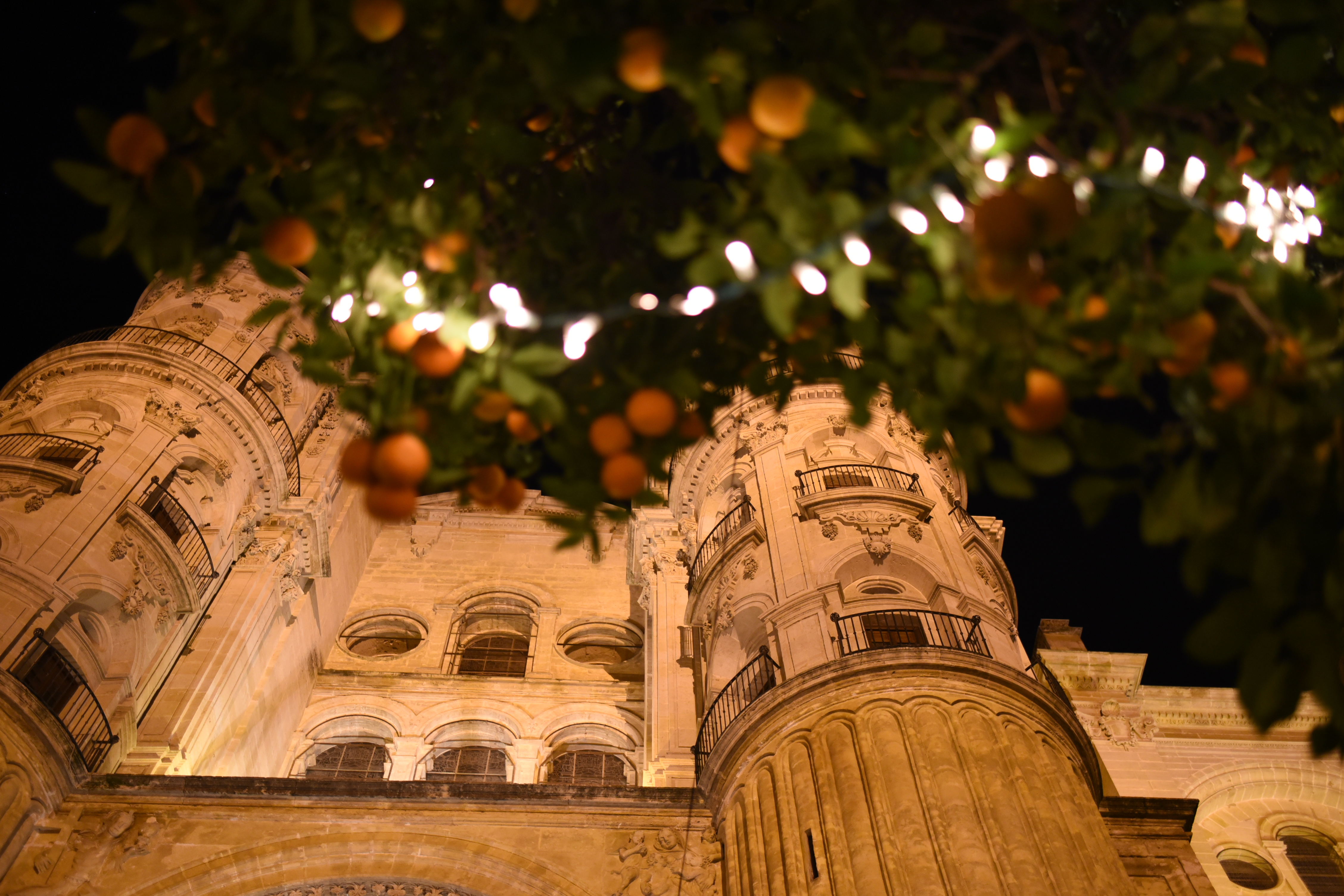 Eventyrlig julestemning i Malaga med lysdekorerede appelsintræer - oplev den særlige atmosfære i det historiske centrum af denne spanske by med den imponerende katedral i baggrunden