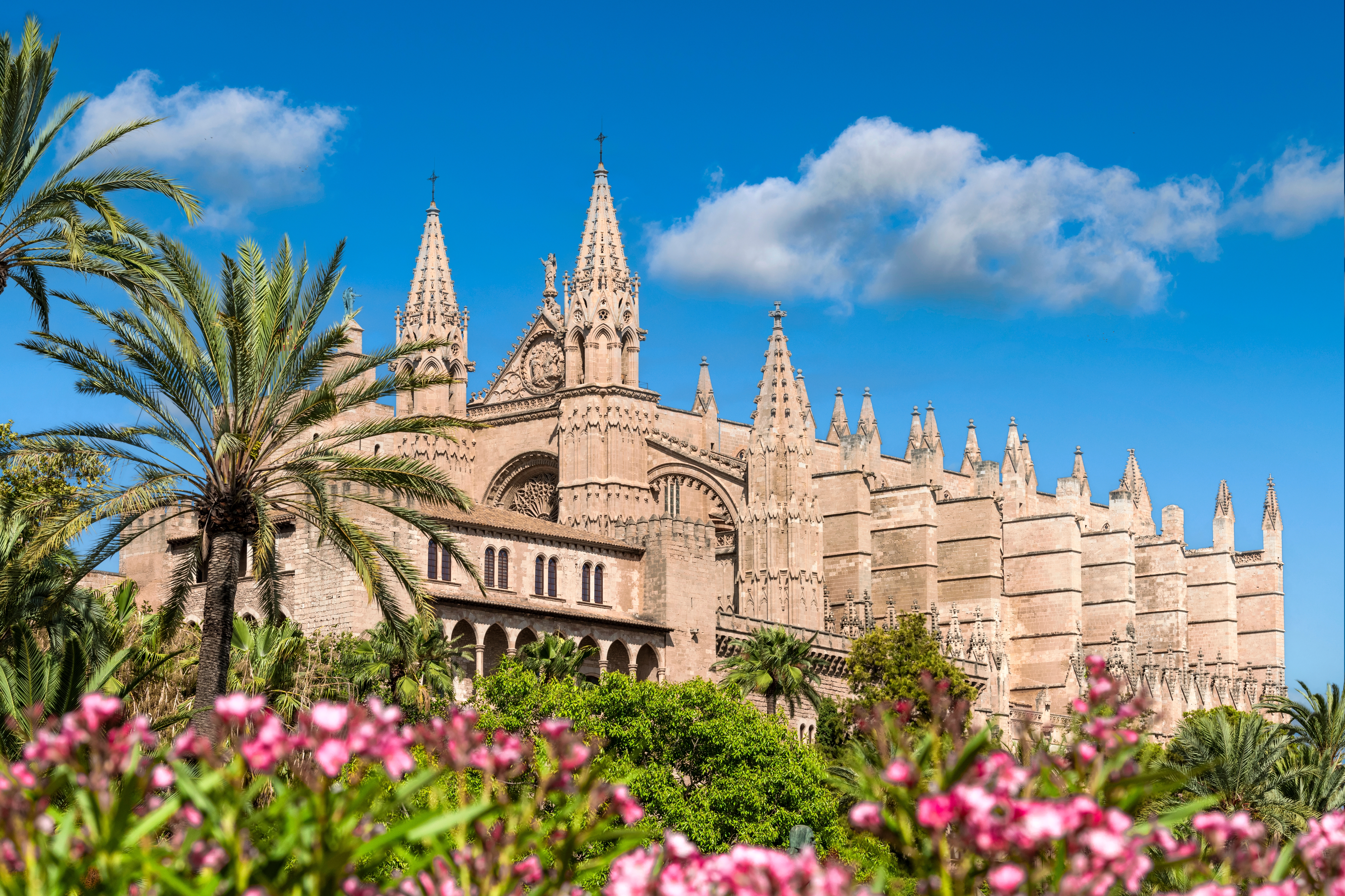 La Seu katedralen i Palma de Mallorca med sin karakteristiske gotiske arkitektur, en af de mest besøgte seværdigheder på Mallorca