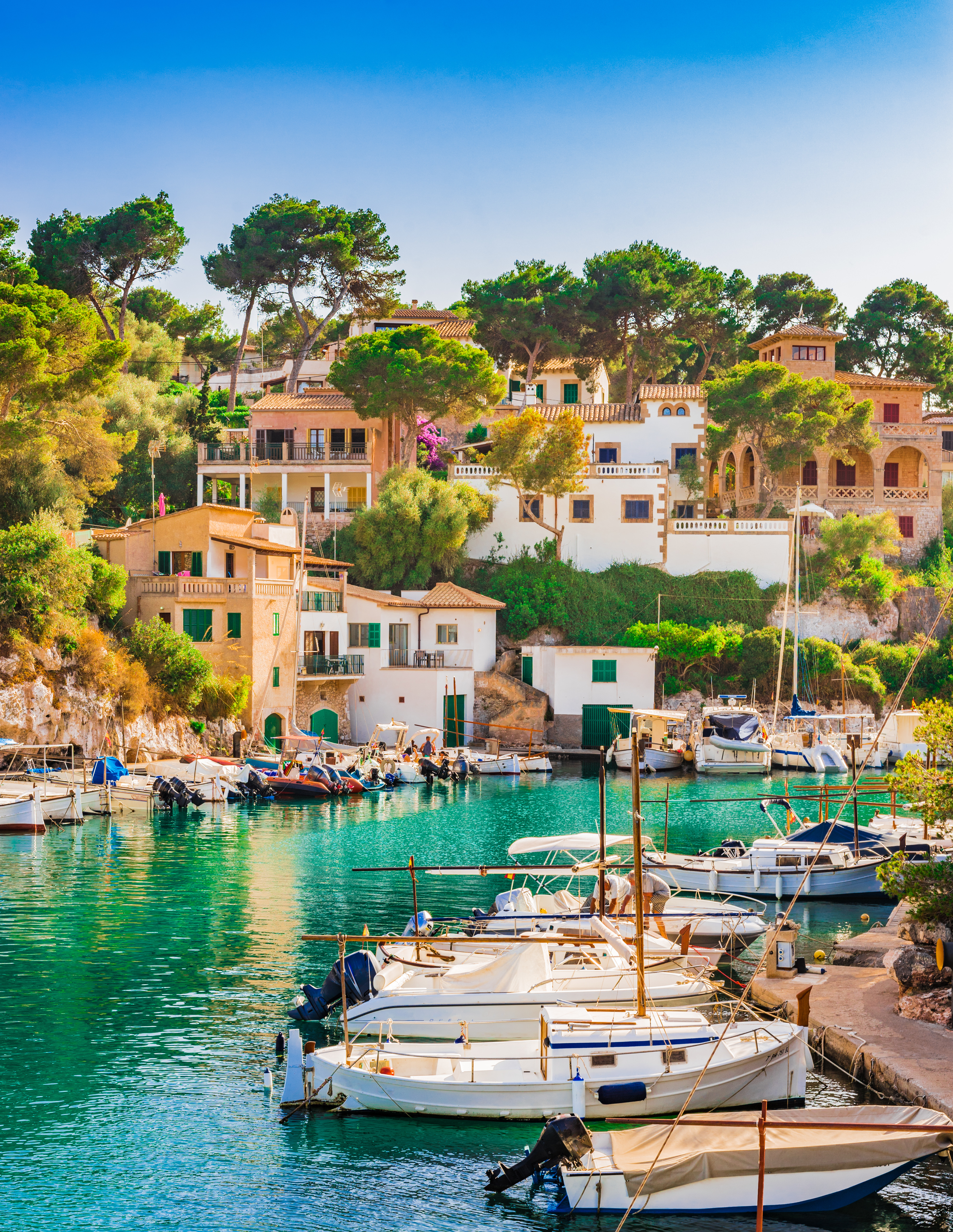 Idyllisk sommerstemning i Cala Figuera på Mallorca med turkist vand, hvide både og smukke mediterrane huse omgivet af grønne pinjetræer