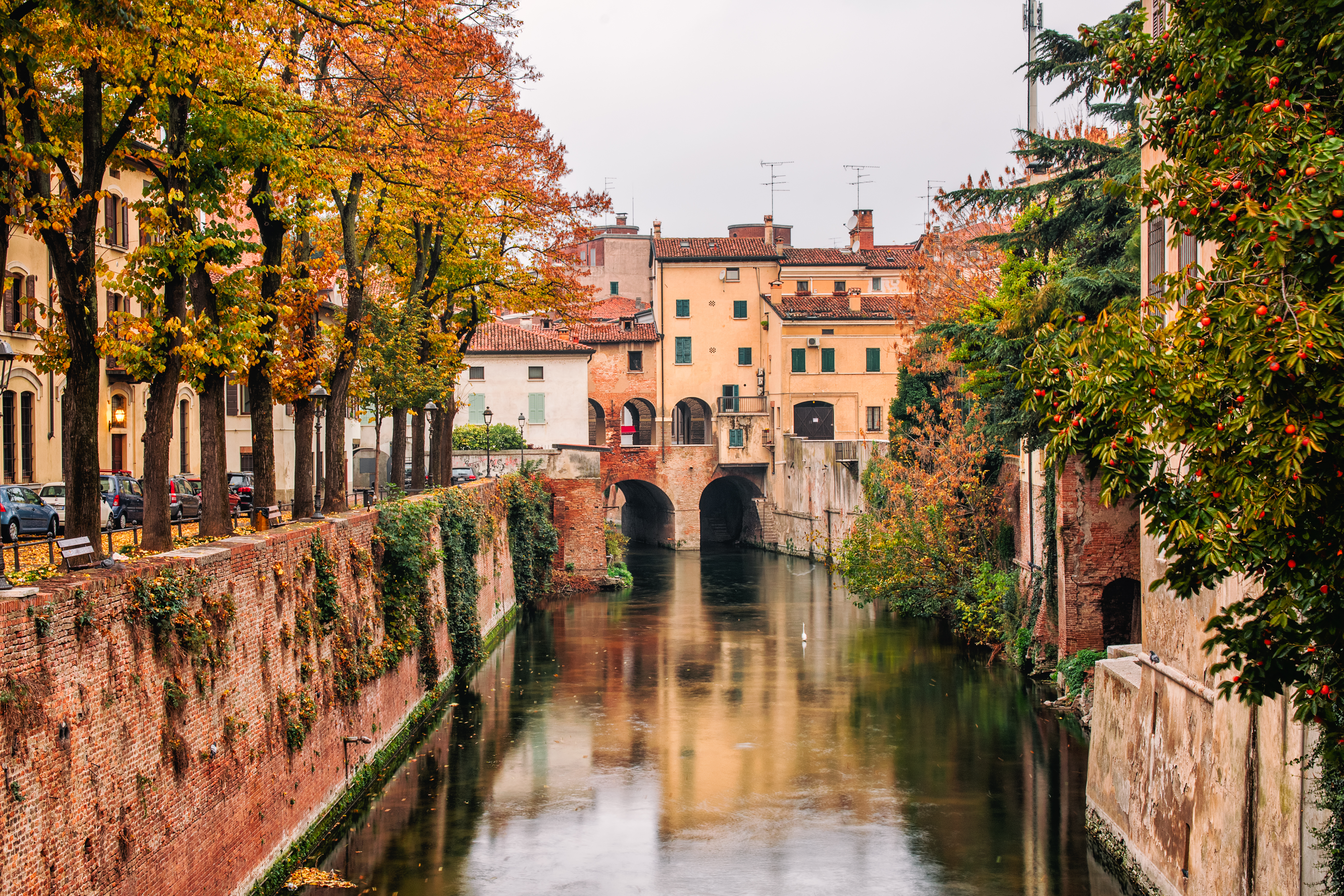 Charmerende kanal i det UNESCO-beskyttede Mantua med efterårs træer og bro